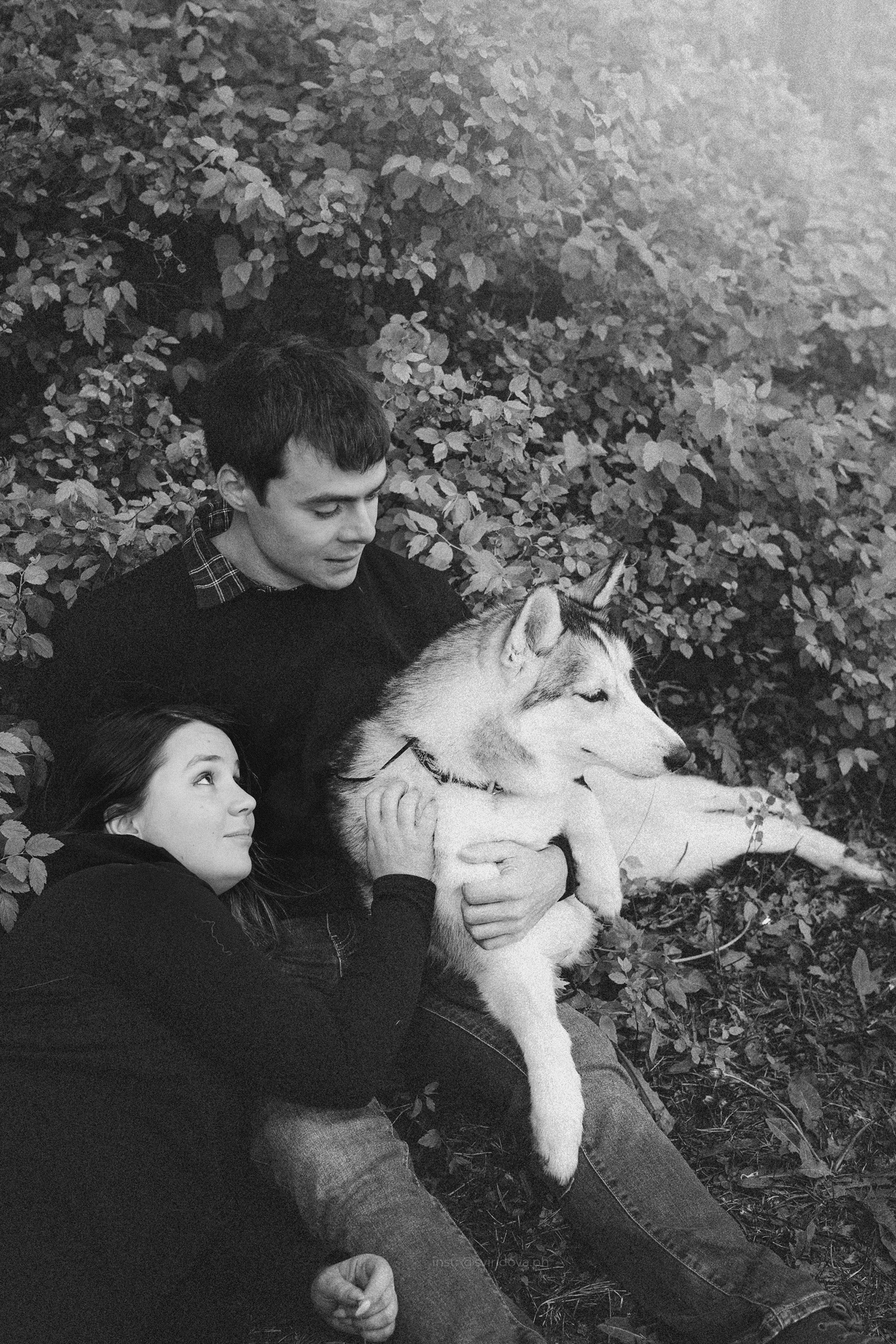 Катя, Илья, Лагерта. Фотограф анималист в Москве и Санкт-Петербурге Свиридова Анна