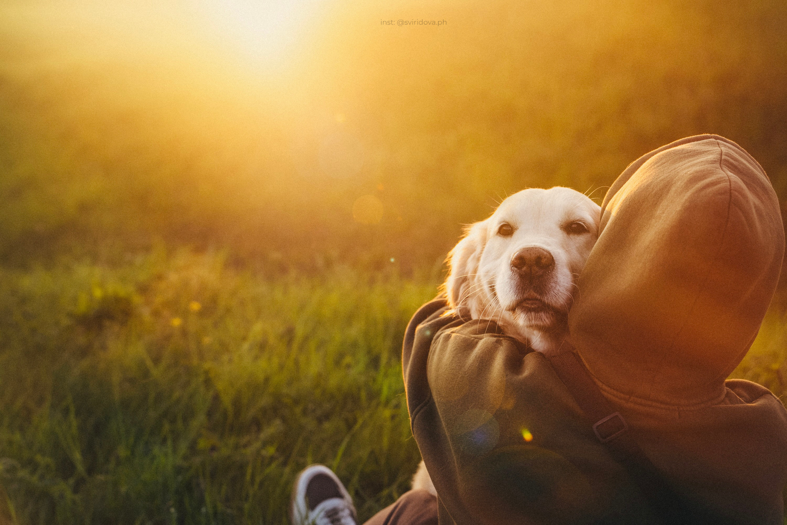 Настя и Арчи. Фотограф анималист в Москве и Санкт-Петербурге Свиридова Анна