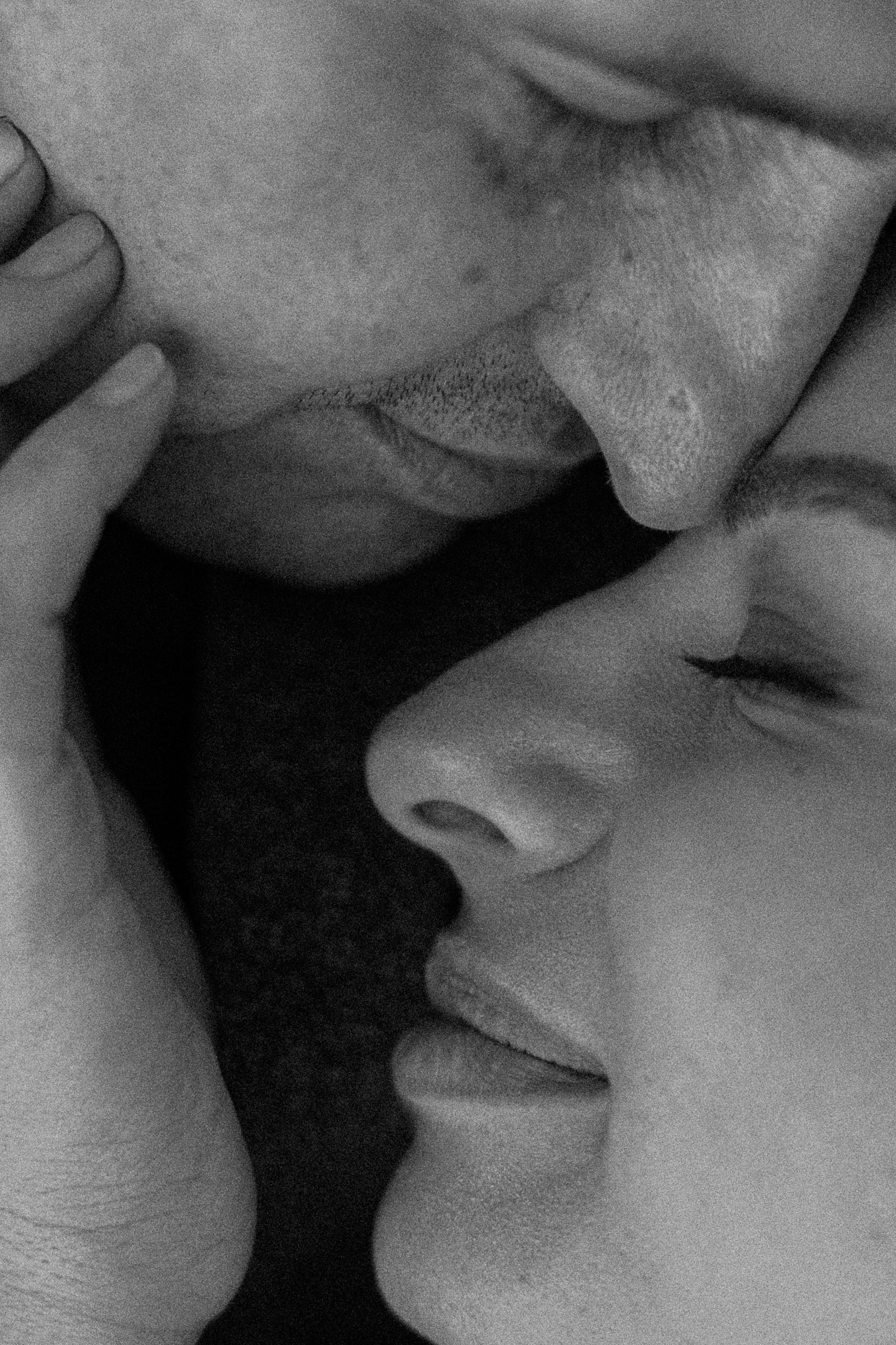 Амина, Андрей и Умка. Фотограф анималист в Москве и Санкт-Петербурге Свиридова Анна