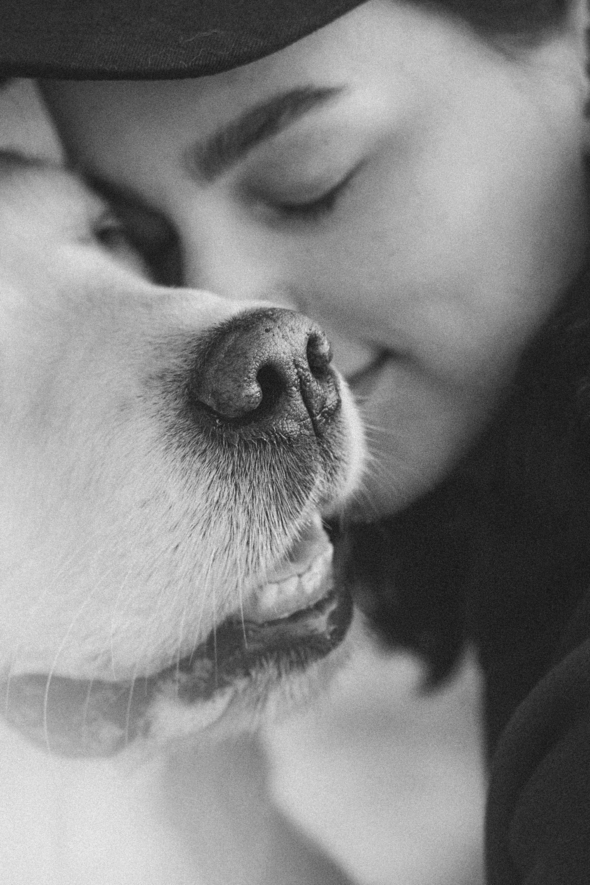 Настя и Арчи. Фотограф анималист в Москве и Санкт-Петербурге Свиридова Анна
