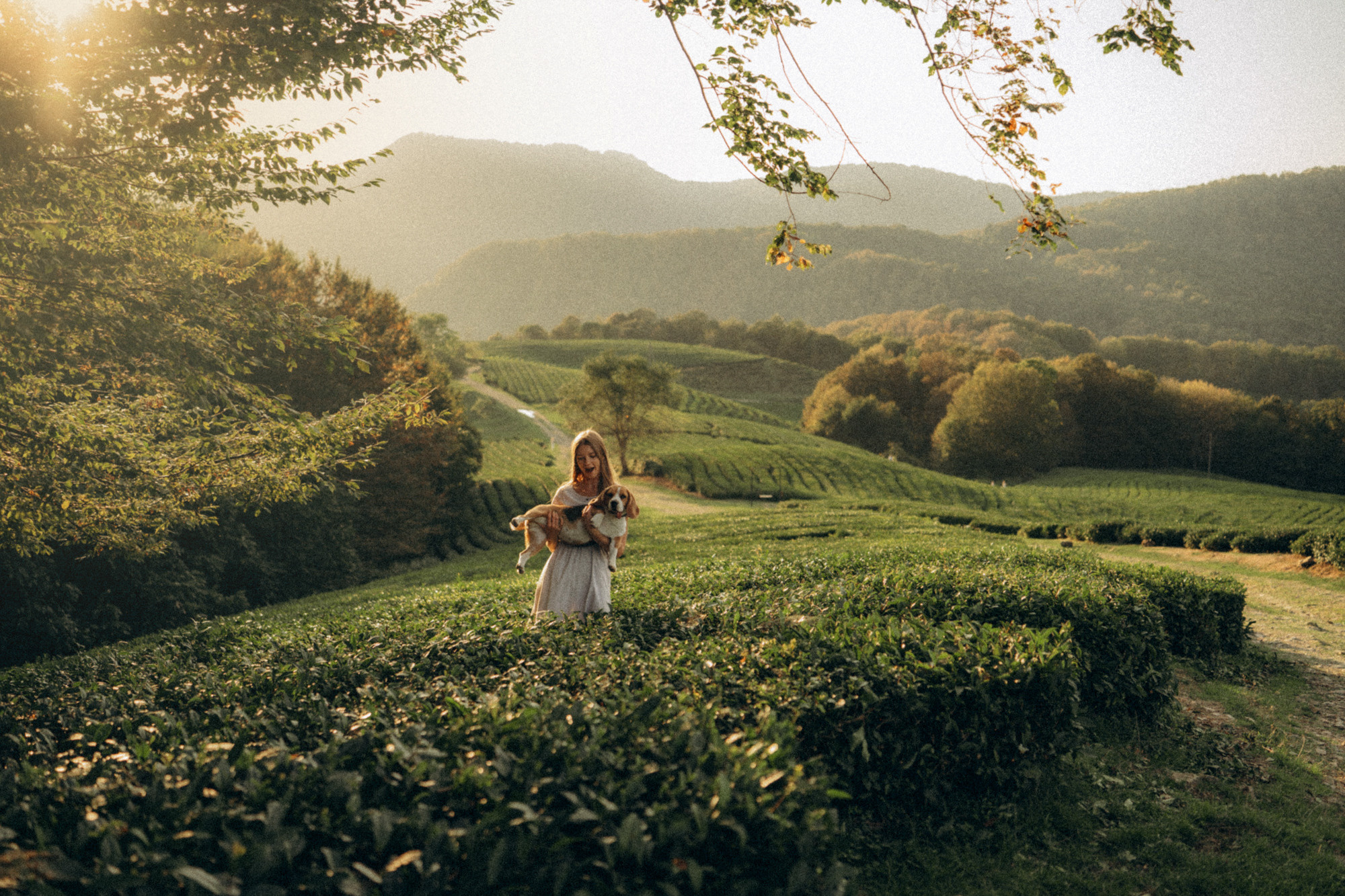 Женя и Мира. Фотограф анималист в Москве и Санкт-Петербурге Свиридова Анна