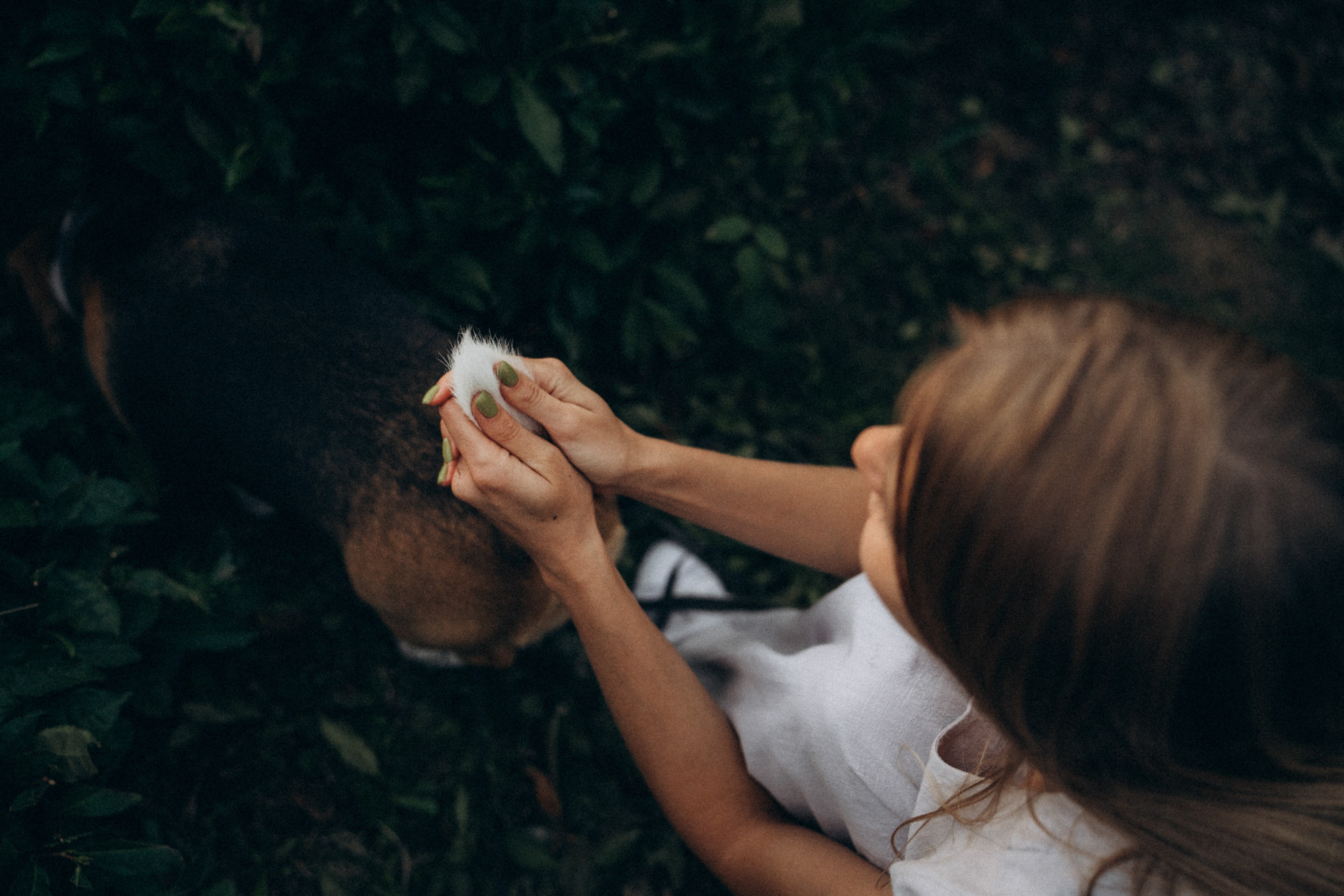 Женя и Мира. Фотограф анималист в Москве и Санкт-Петербурге Свиридова Анна