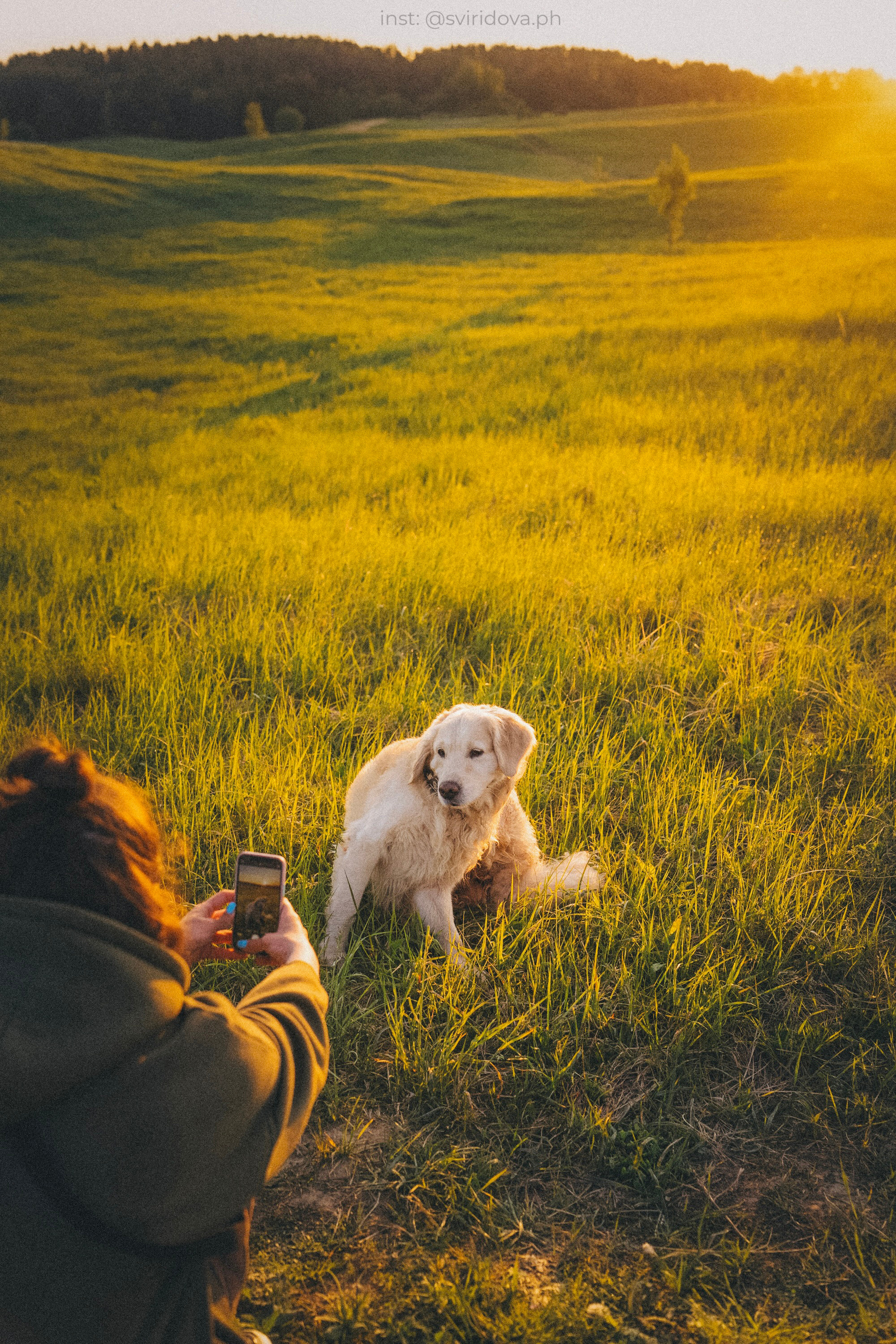 Настя и Арчи. Фотограф анималист в Москве и Санкт-Петербурге Свиридова Анна