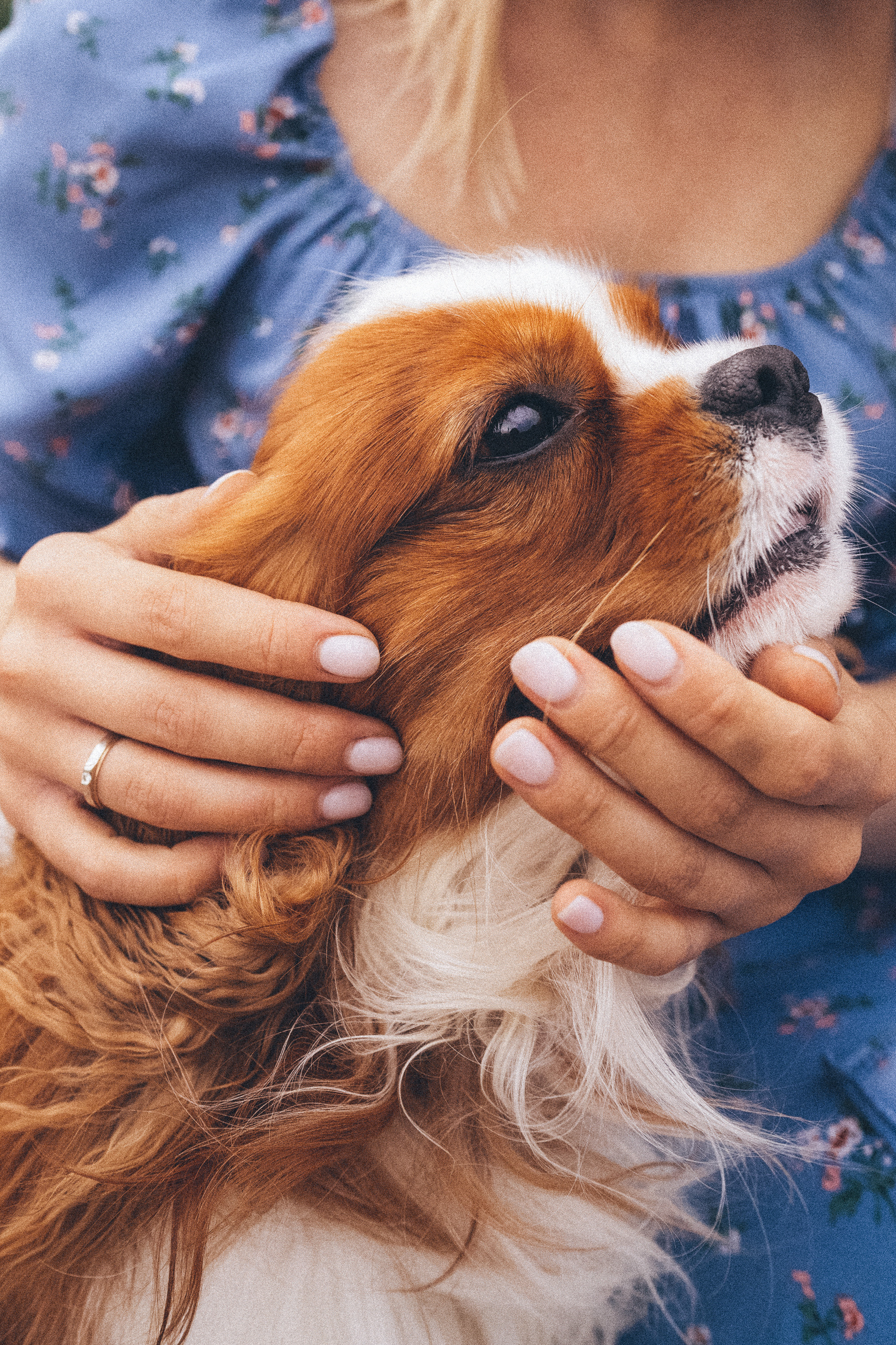 Таня и Лео. Фотограф анималист в Москве и Санкт-Петербурге Свиридова Анна