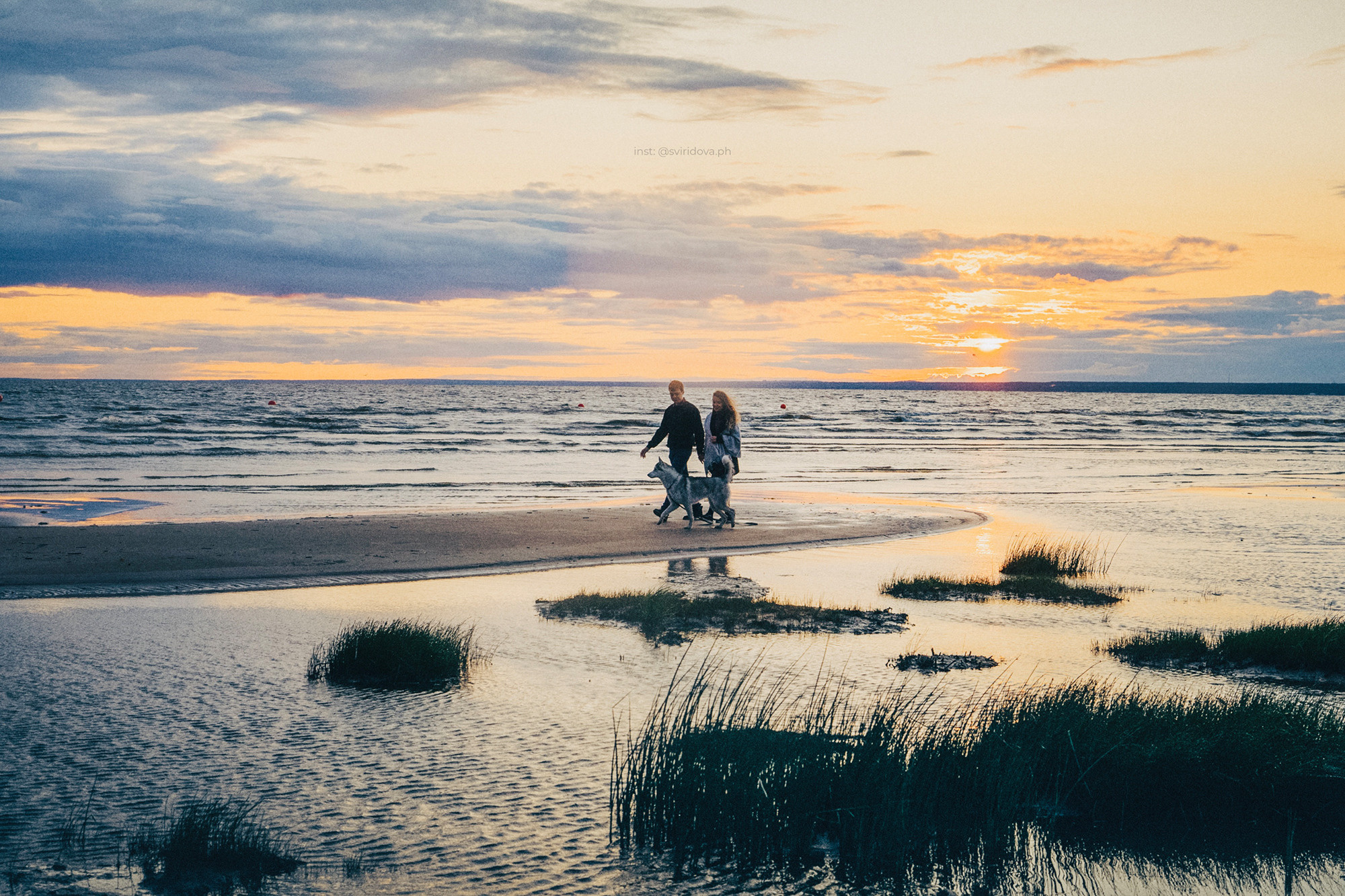 Катя, Илья, Лагерта. Фотограф анималист в Москве и Санкт-Петербурге Свиридова Анна
