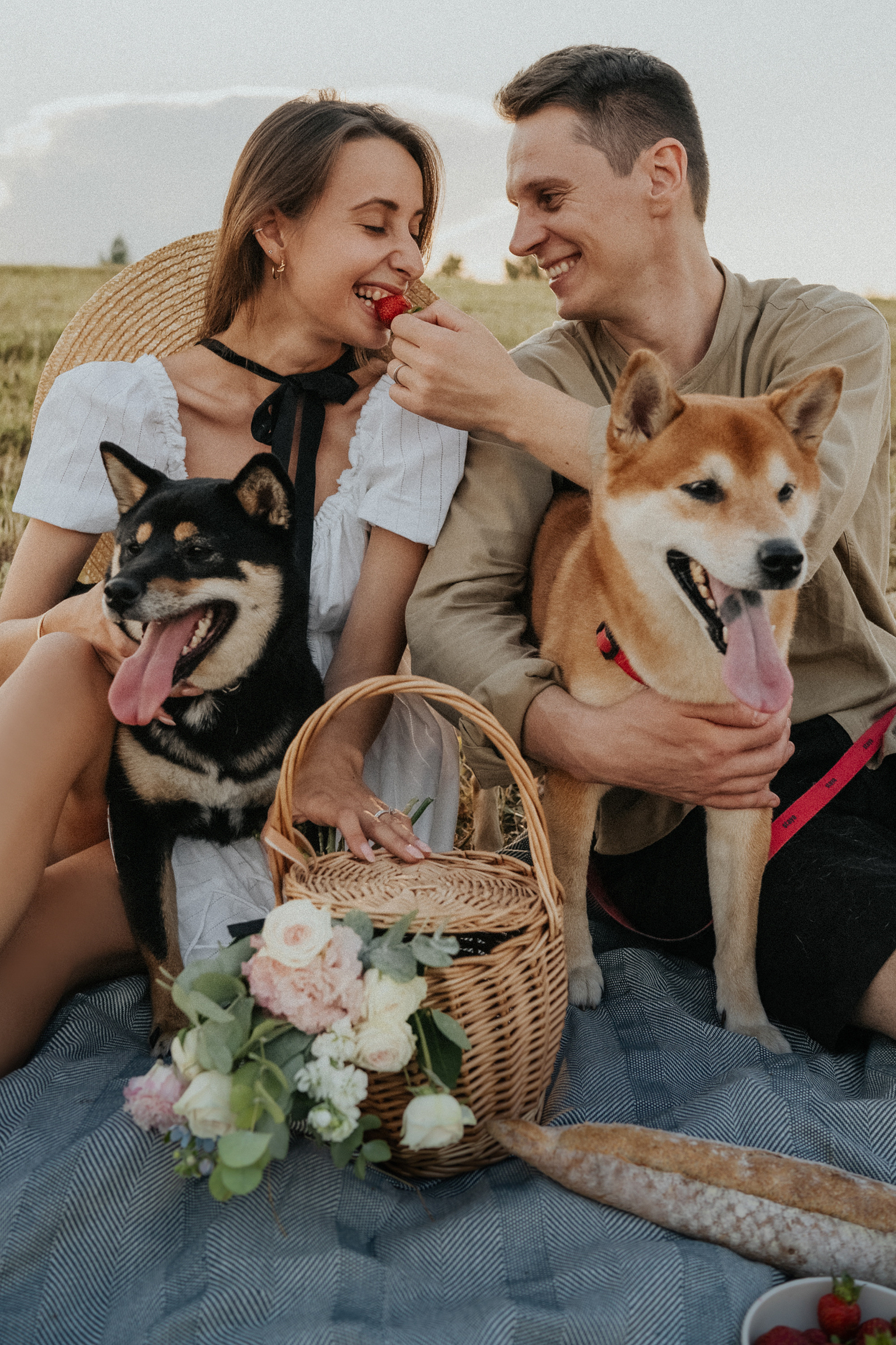 Катя, Вася, Роки и Бэлла. Фотограф анималист в Москве и Санкт-Петербурге Свиридова Анна