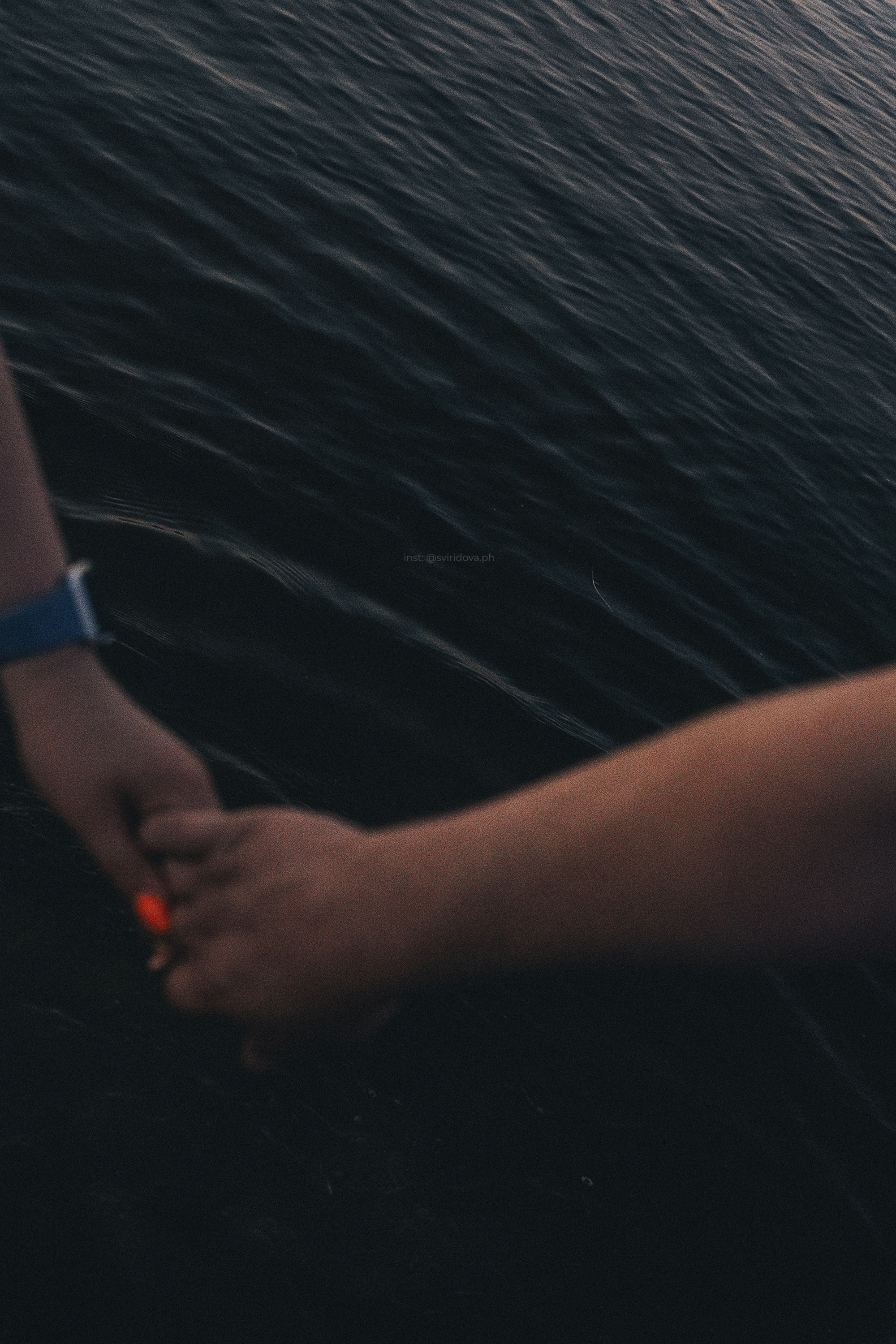 Даша, Сергей и Френки. Фотограф анималист в Москве и Санкт-Петербурге Свиридова Анна