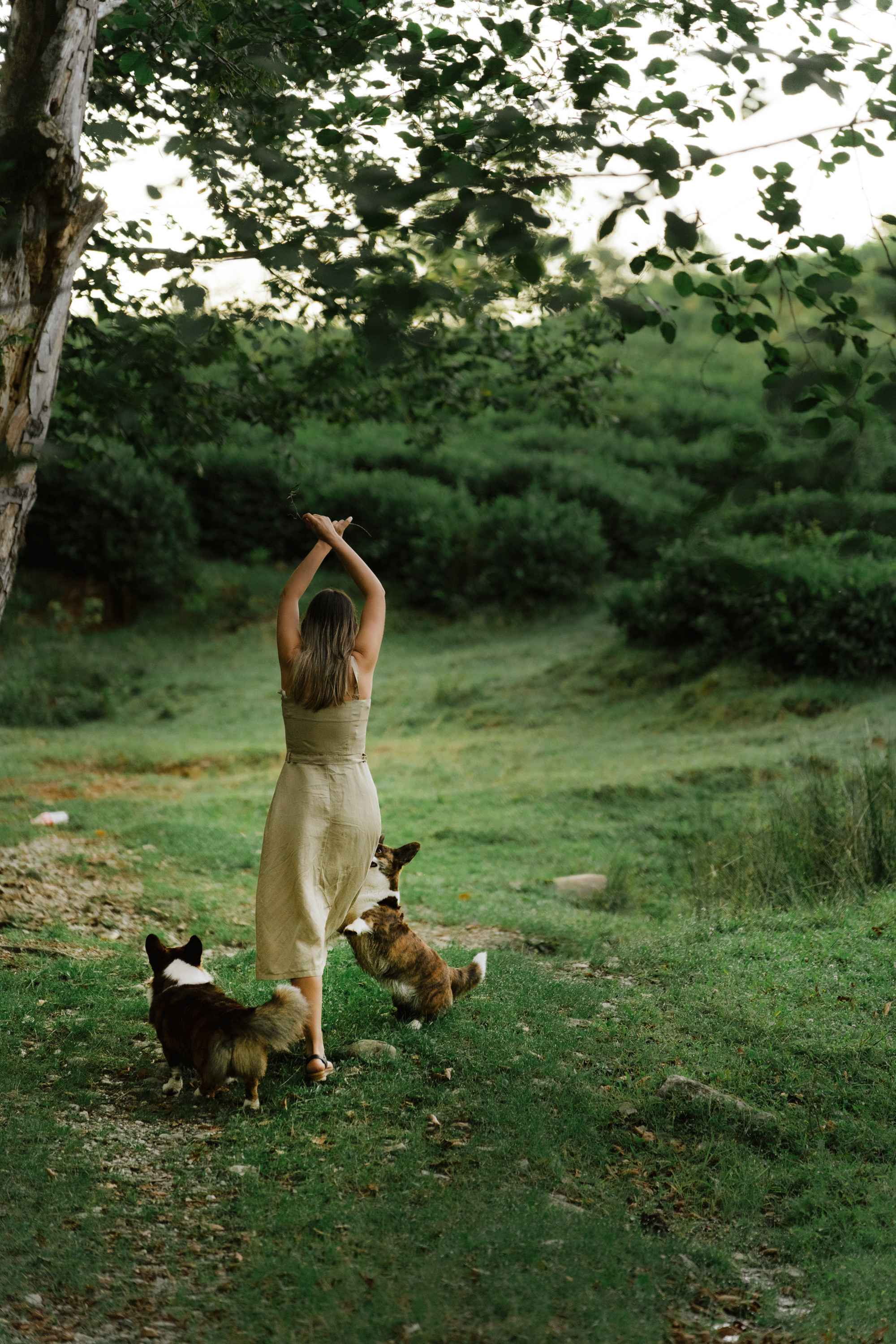 Влада и Коржики. Фотограф анималист в Москве и Санкт-Петербурге Свиридова Анна
