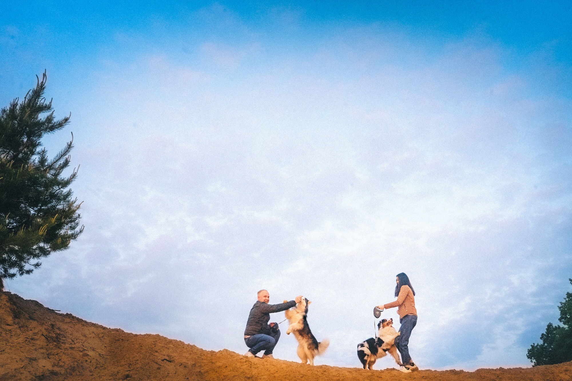 Аня, Игорь, Аусь и Хась. Фотограф анималист в Москве и Санкт-Петербурге Свиридова Анна