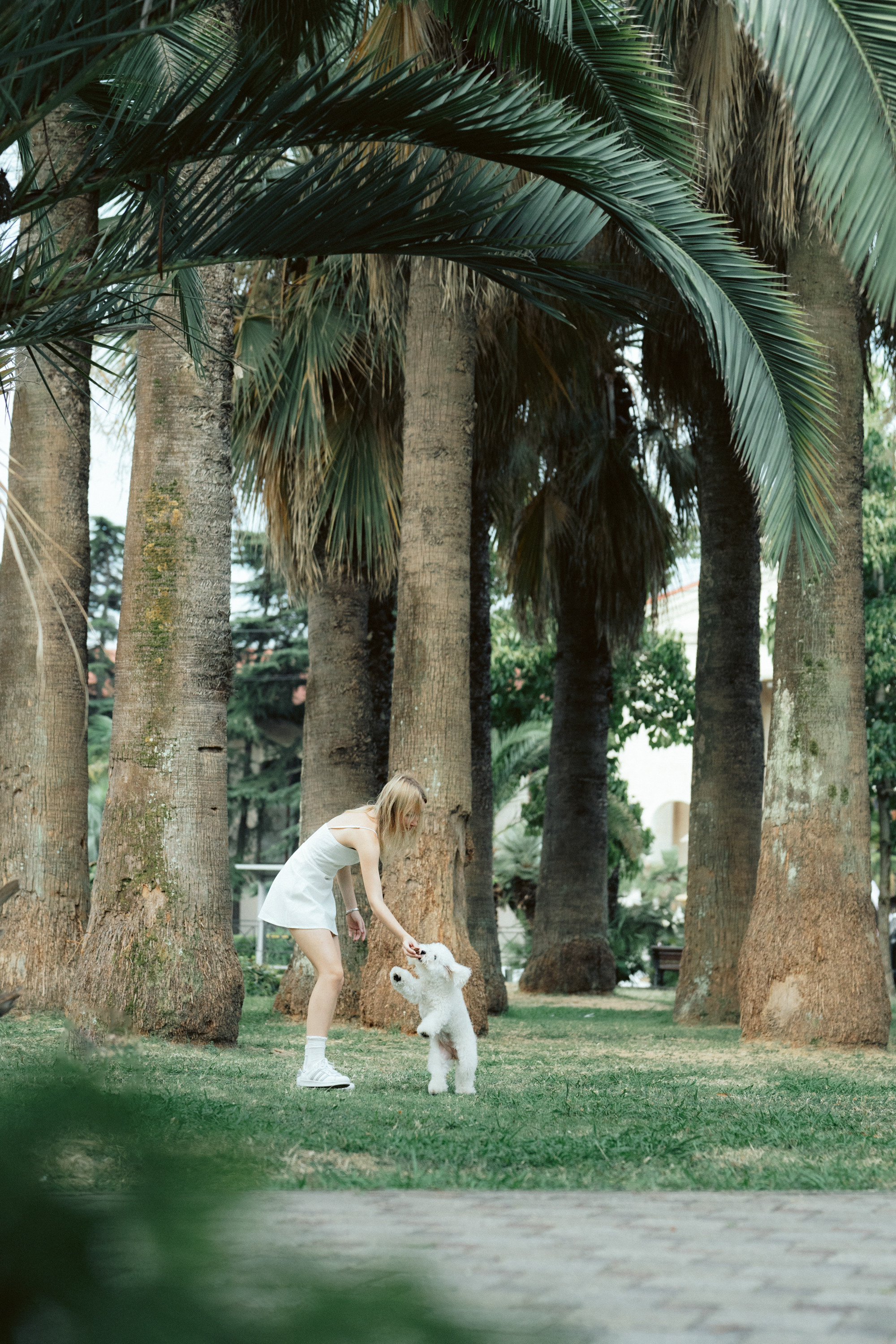 Ангелина и Варежка. Фотограф анималист в Москве и Санкт-Петербурге Свиридова Анна