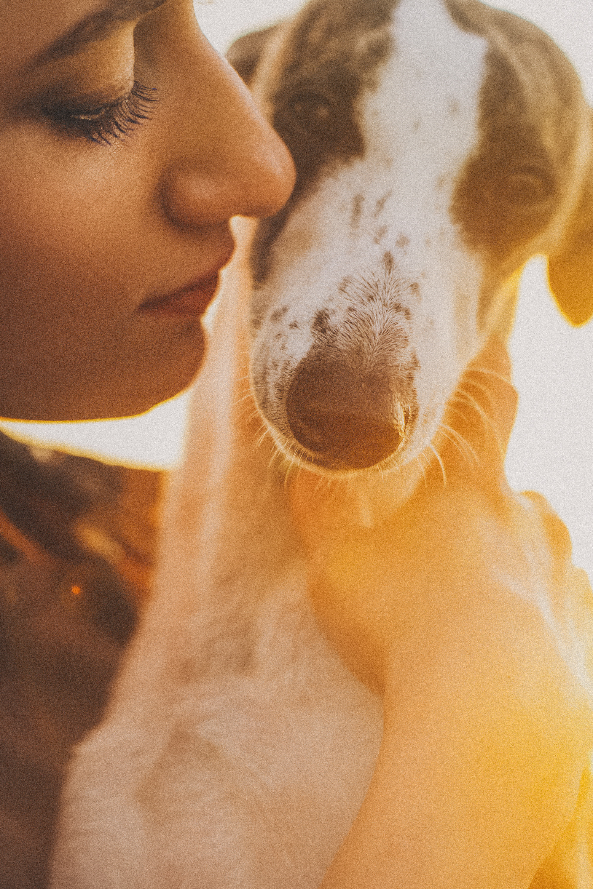 Софа, Уна и Лють. Фотограф анималист в Москве и Санкт-Петербурге Свиридова Анна