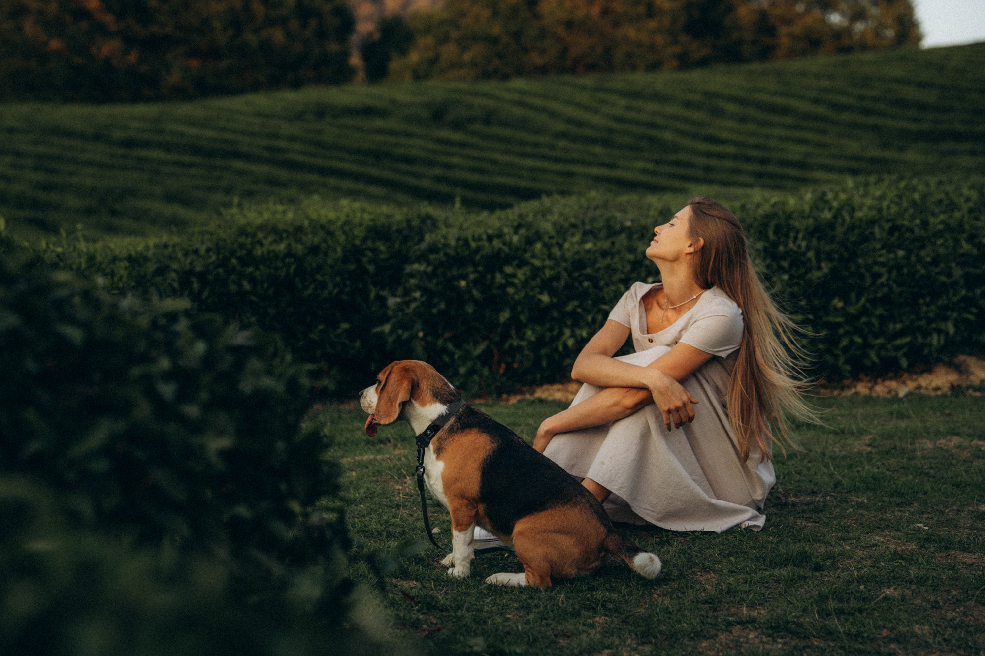 Женя и Мира. Фотограф анималист в Москве и Санкт-Петербурге Свиридова Анна