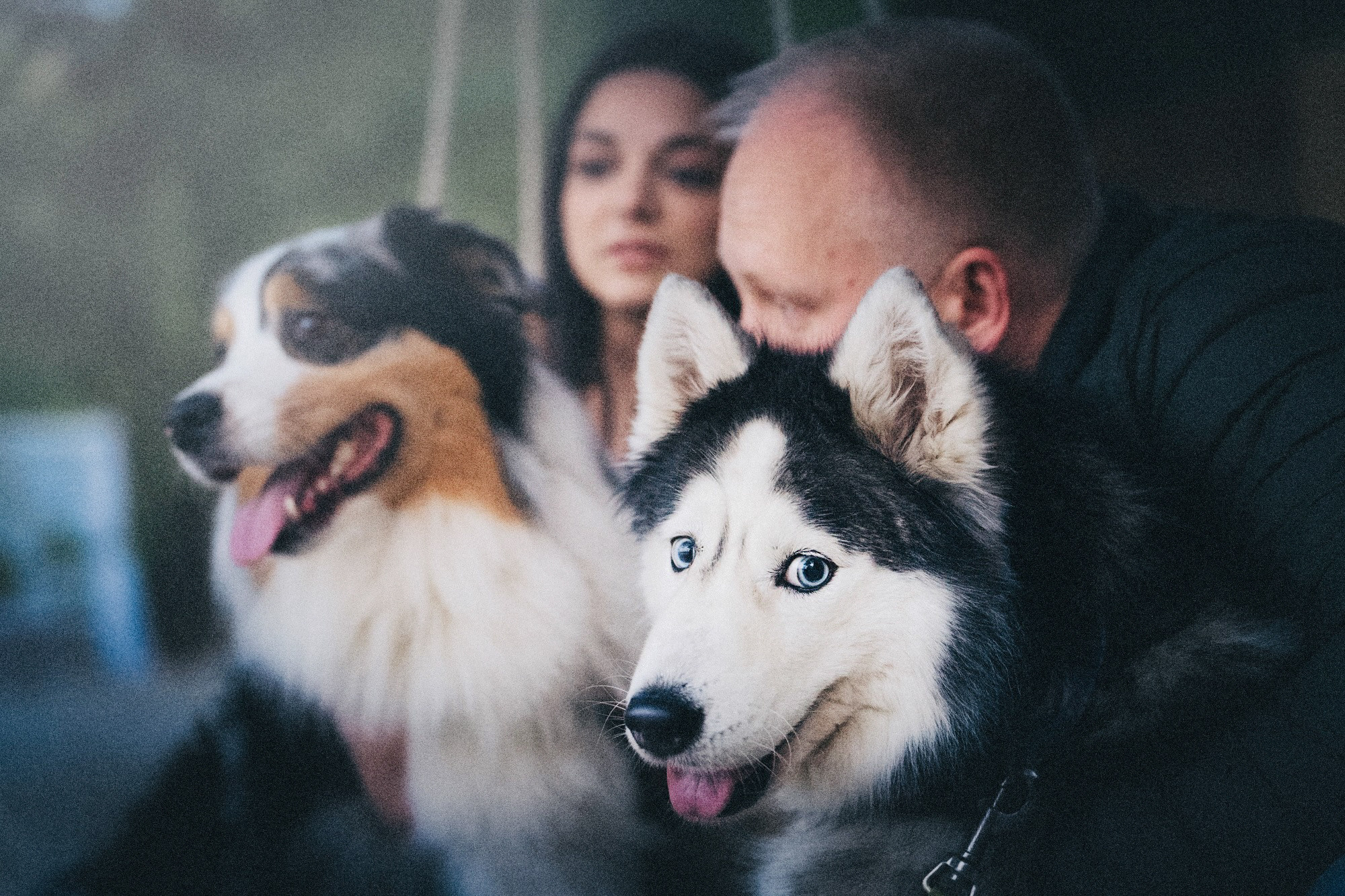 Аня, Игорь, Аусь и Хась. Фотограф анималист в Москве и Санкт-Петербурге Свиридова Анна