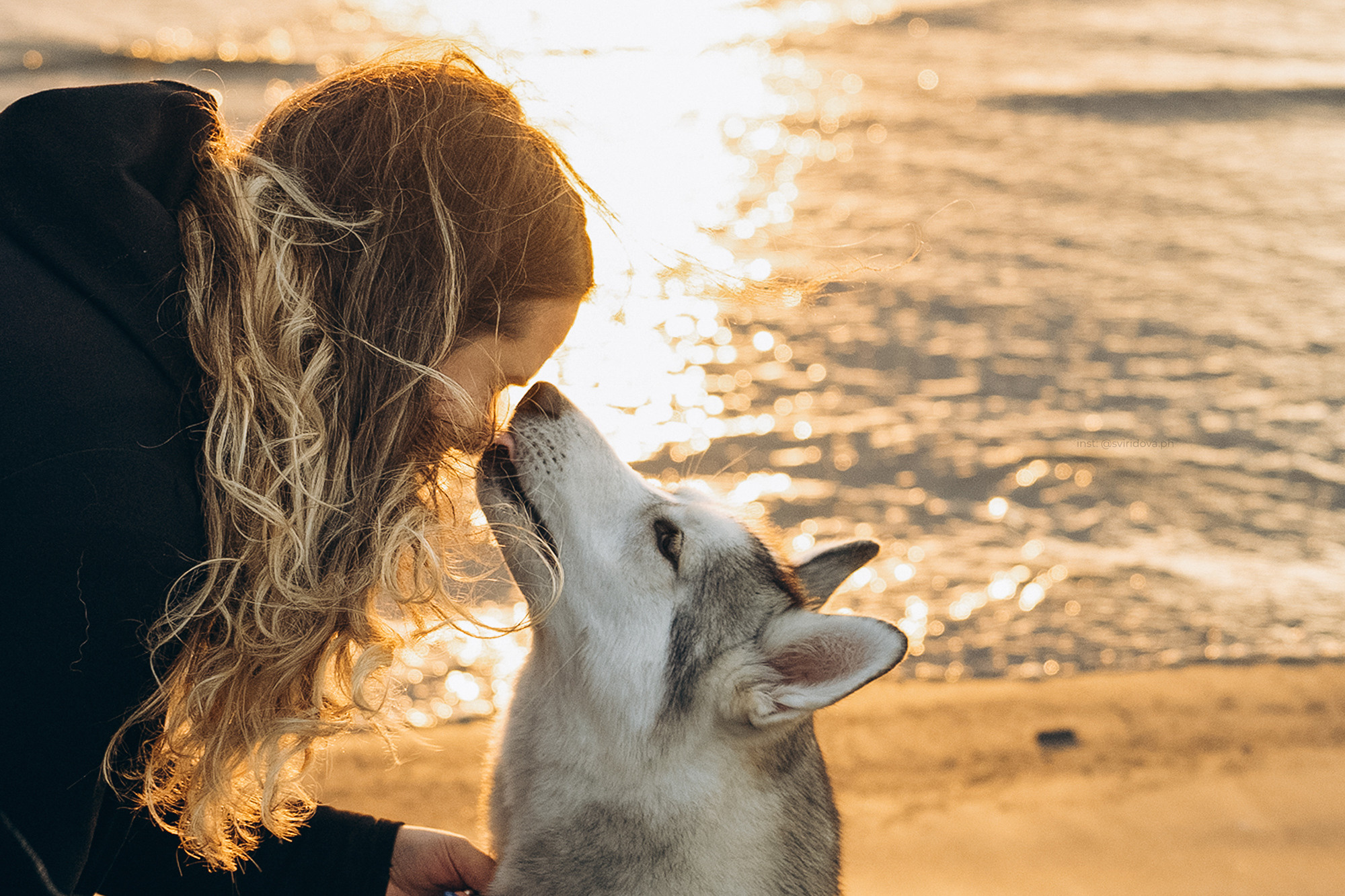 Катя, Илья, Лагерта. Фотограф анималист в Москве и Санкт-Петербурге Свиридова Анна