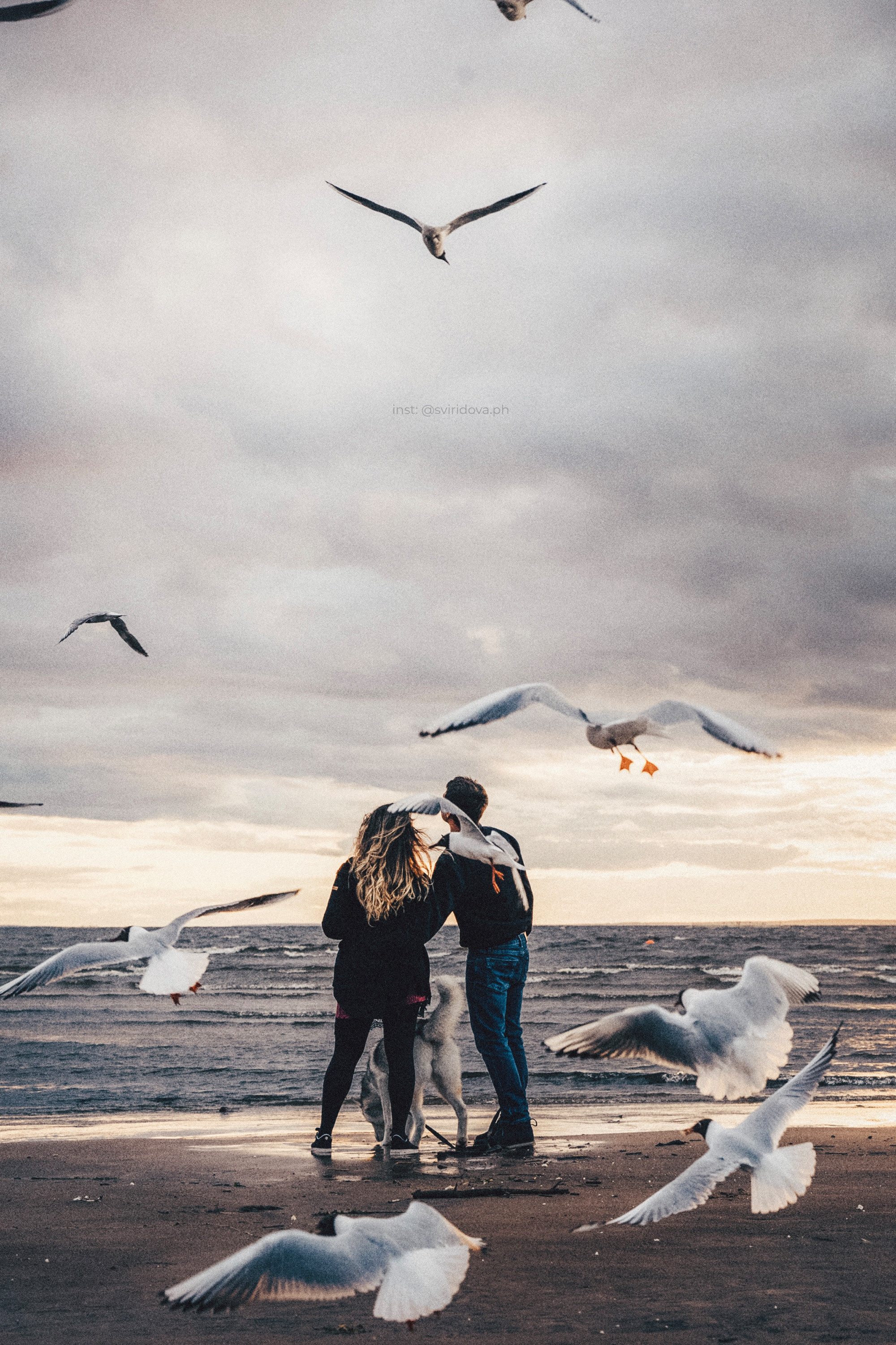 Катя, Илья, Лагерта. Фотограф анималист в Москве и Санкт-Петербурге Свиридова Анна