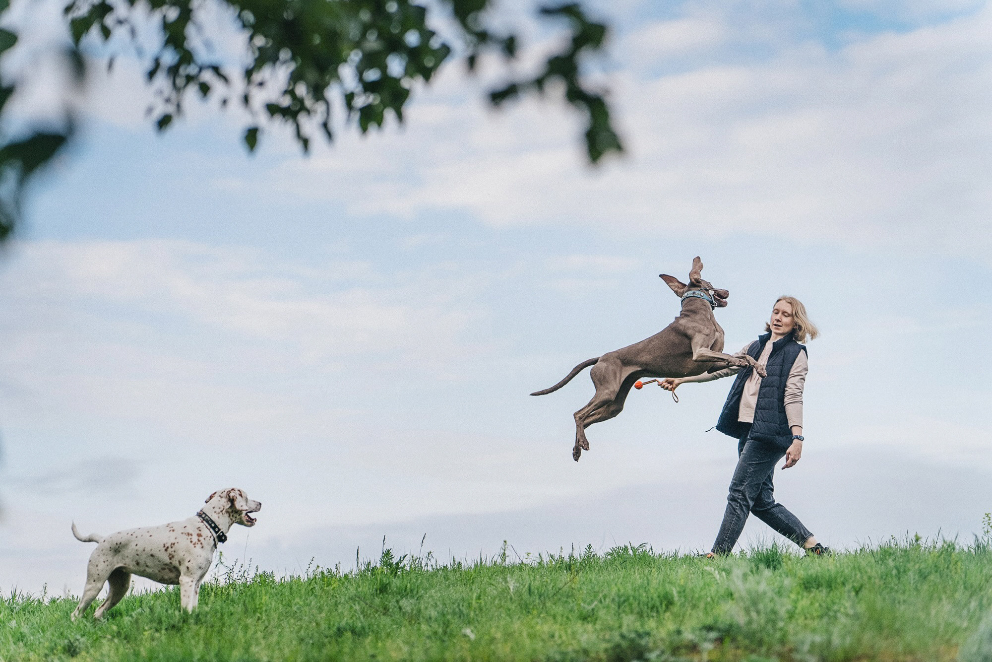 Полина, Борис, Луна и Эль. Фотограф анималист в Москве и Санкт-Петербурге Свиридова Анна