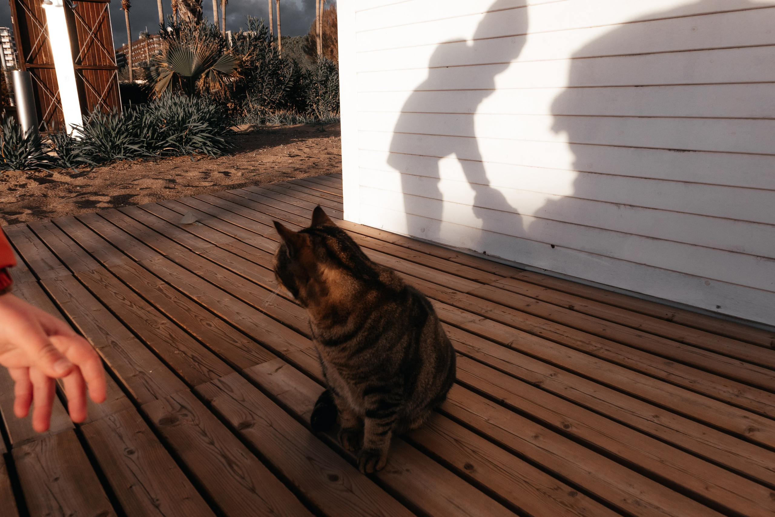 Семейные истории. Арина Мелехова фотограф Красная Поляна