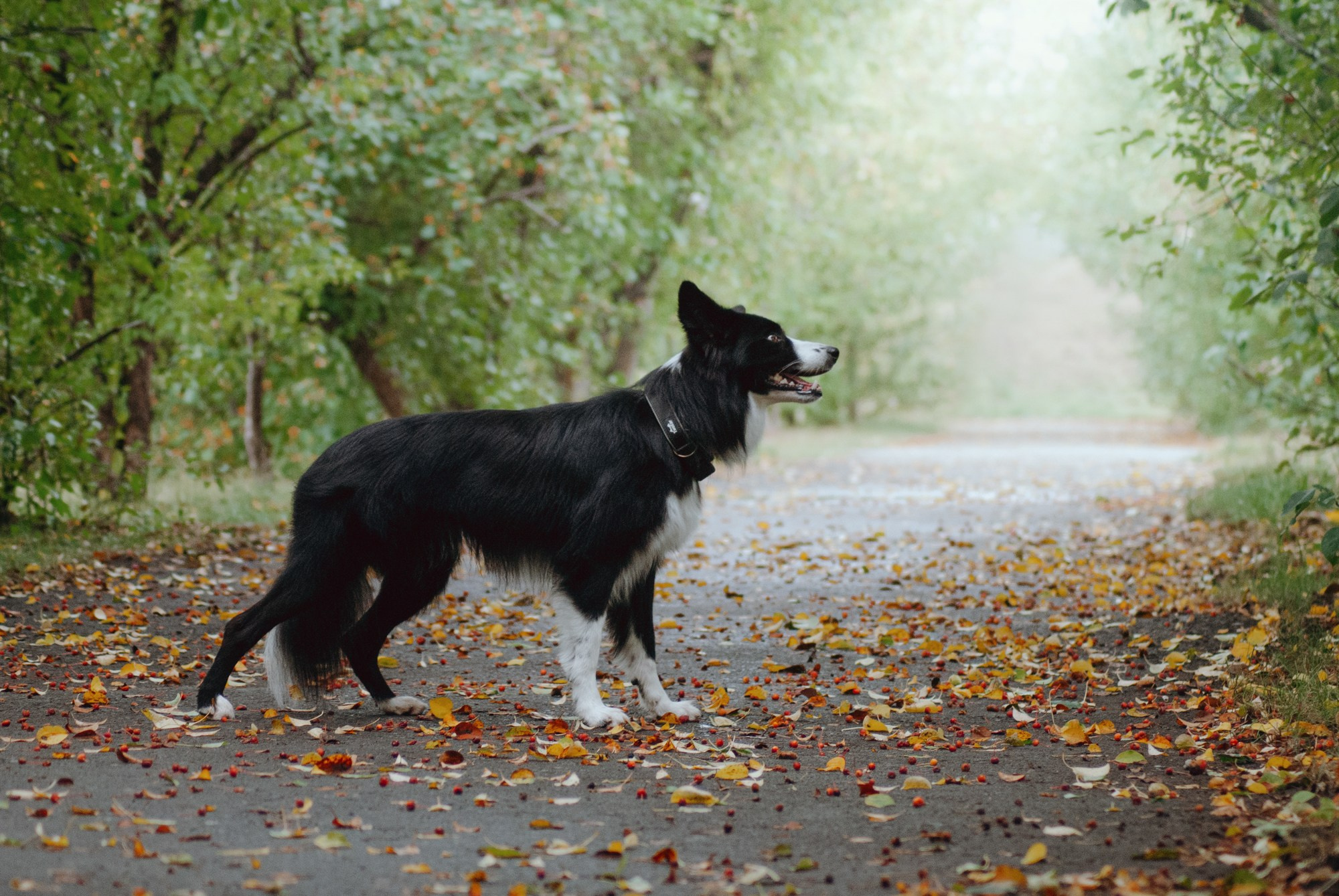 Макс. Фотограф в Тюмени Лизавета Сапицкая