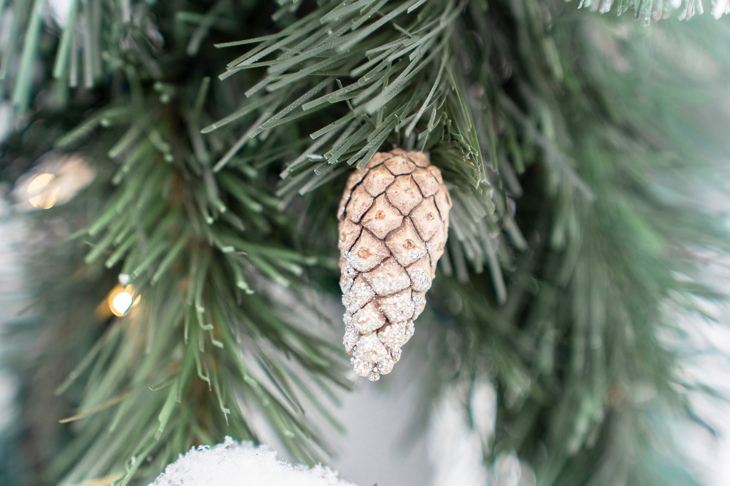 Новогоднее предложение. Семейный и детский фотограф в Москве Шмыкова Екатерина