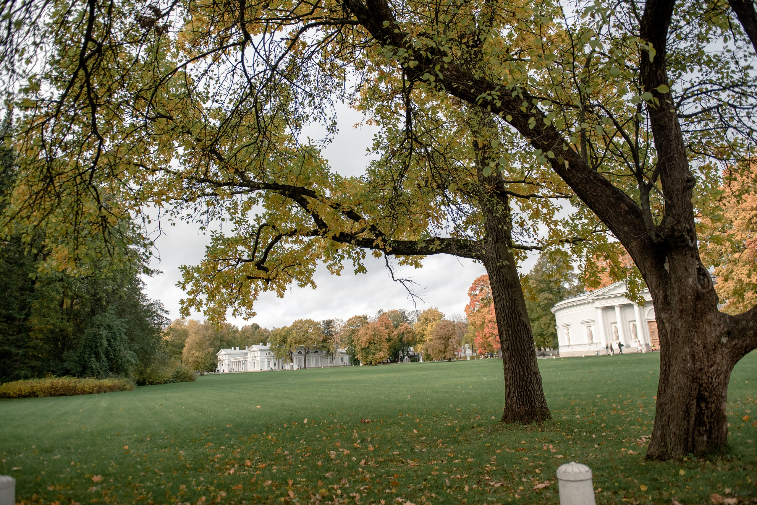 Елагин остров. Свадебный фотограф Тюмень / Санкт — Петербург Миронова Наталия