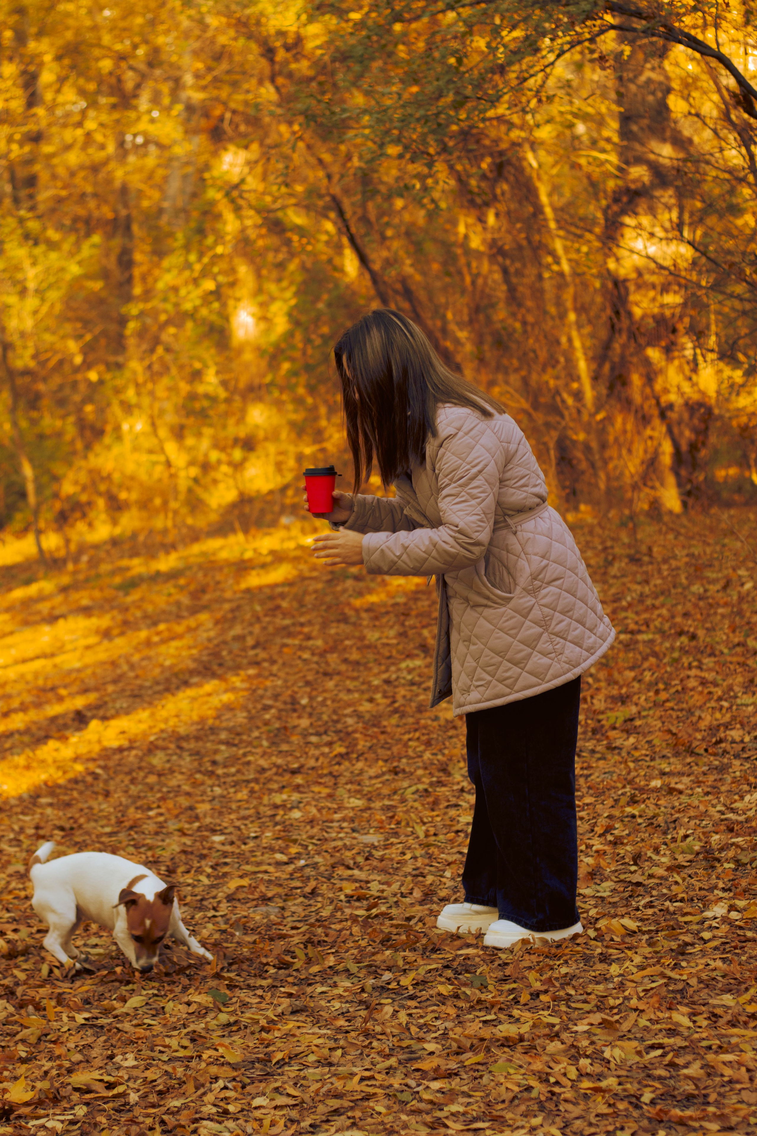 «Тепло осени: уютные кадры с природой». Уличный фотограф Города N