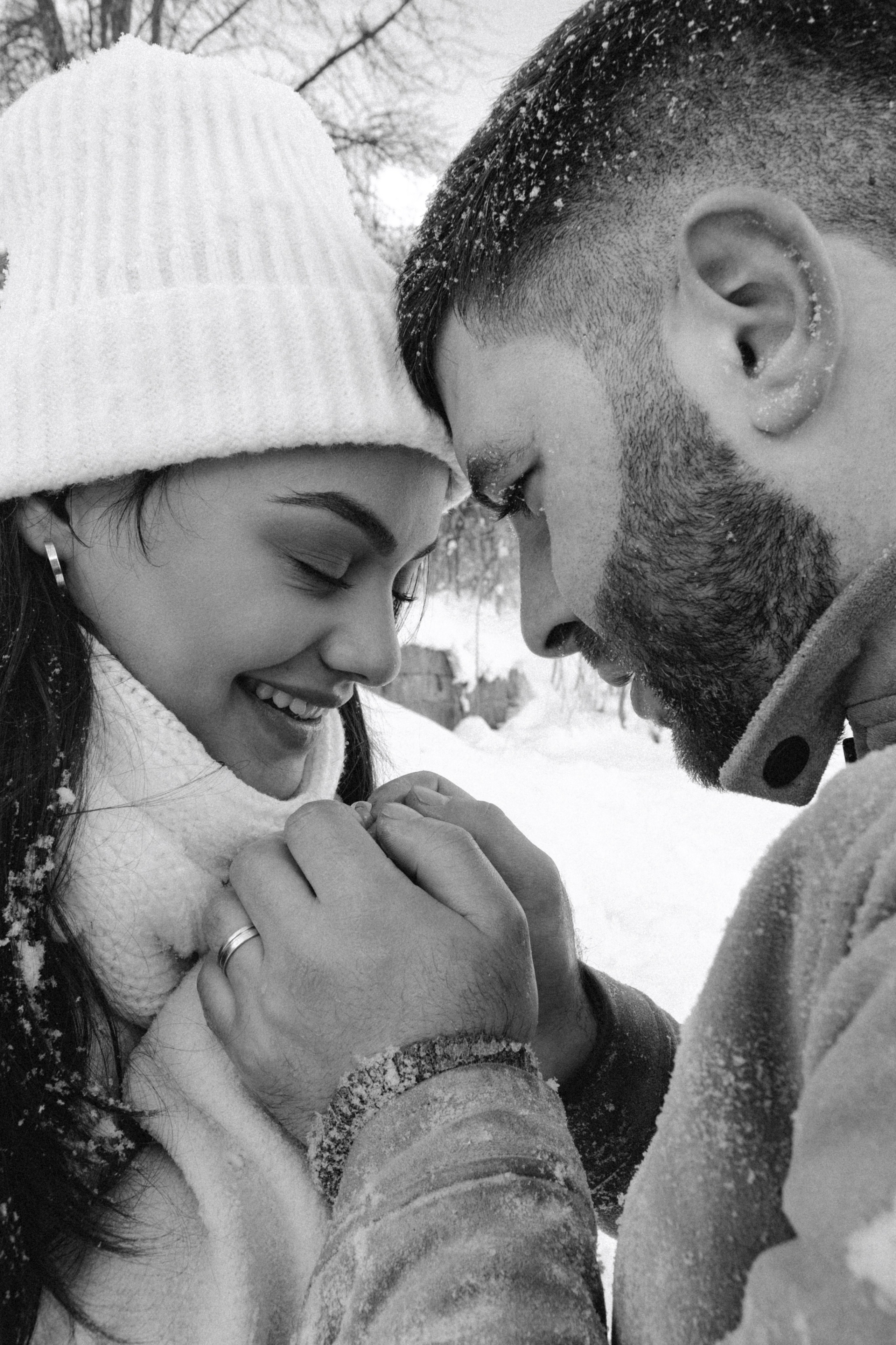 Снежинки. Գլխավոր