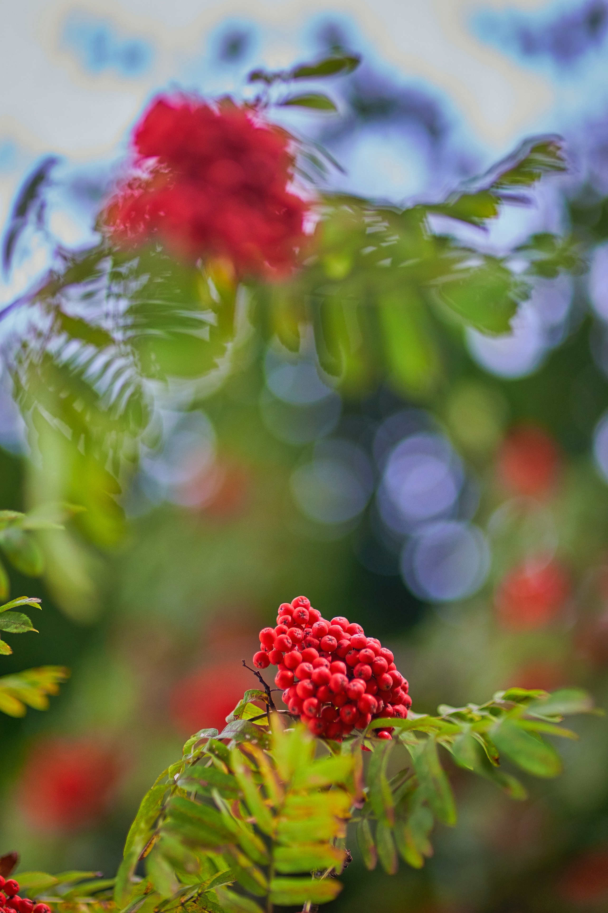 Наша мать — природа. Фотограф Владимир Артамонов