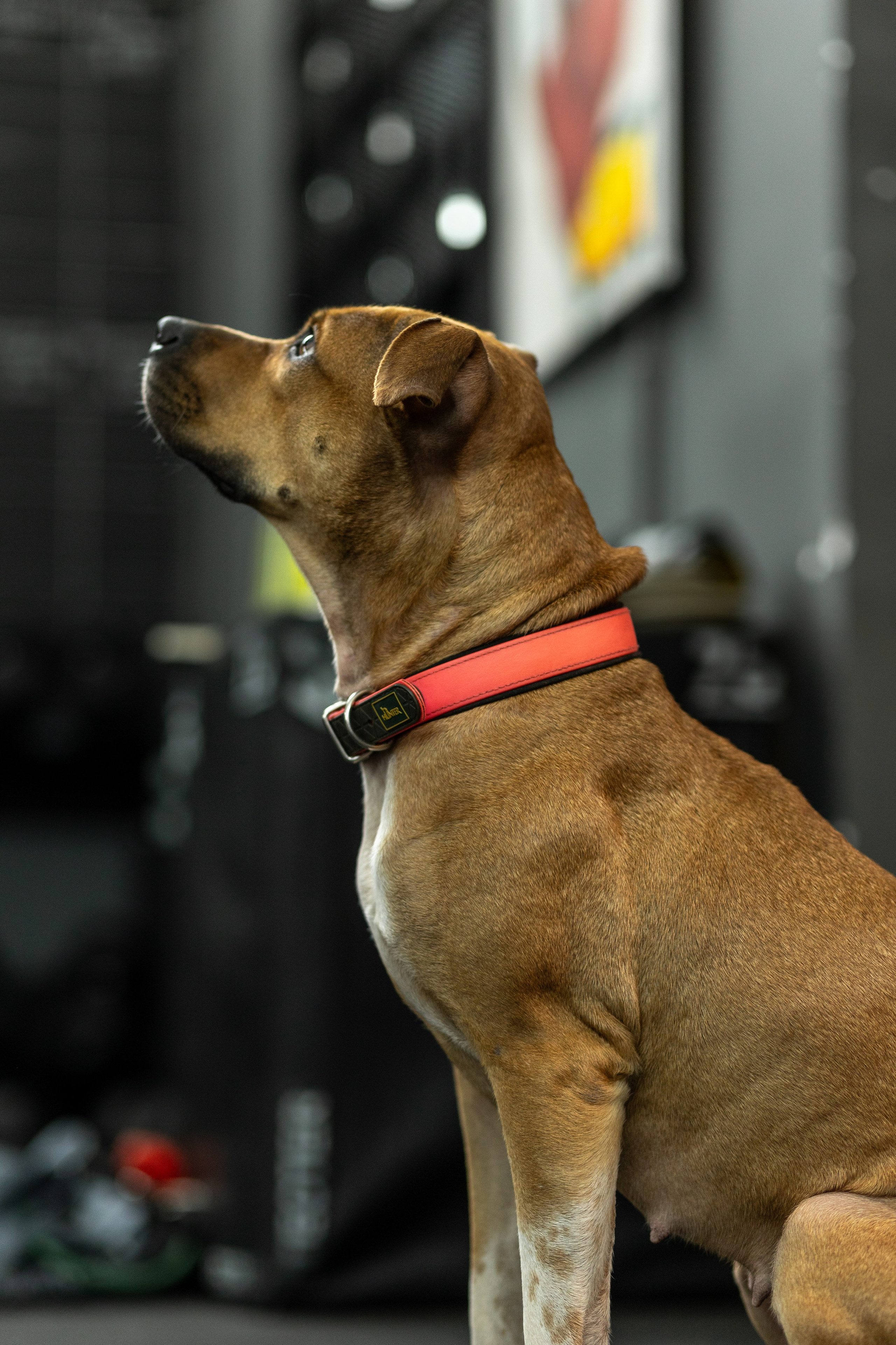 «Bupas gym» Москва 2024. Тренировка в боксерском клубе. Фотограф Алина Ионычева в Новосибирске