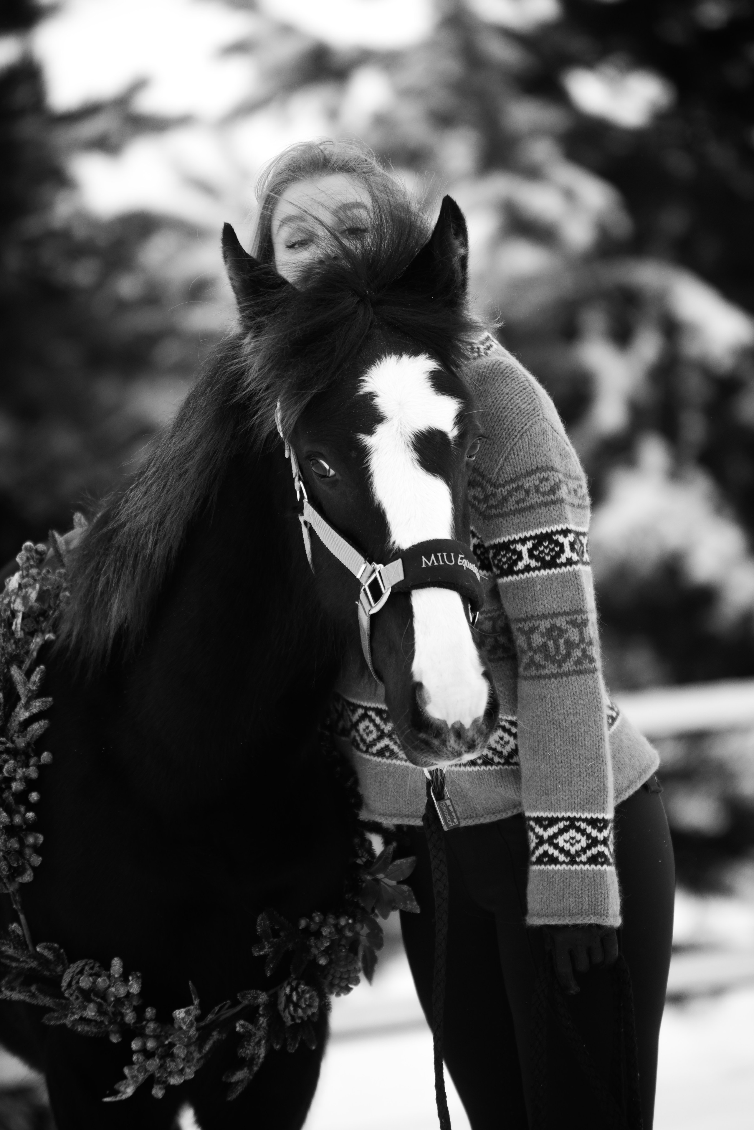 Зимний Настасьин табун. Куракина Дарья • Конный фотограф