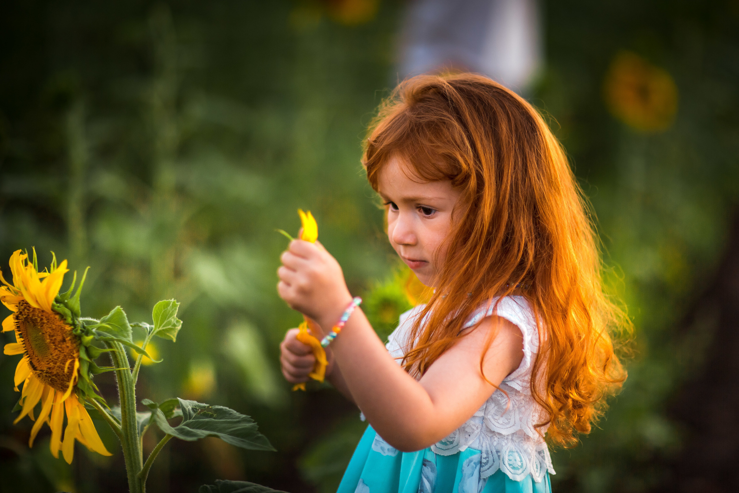 Прогулка в пшенице и подсолнухах. Свадебный, семейный и детский фотограф в Алексеевке Анастасия Ковальчу