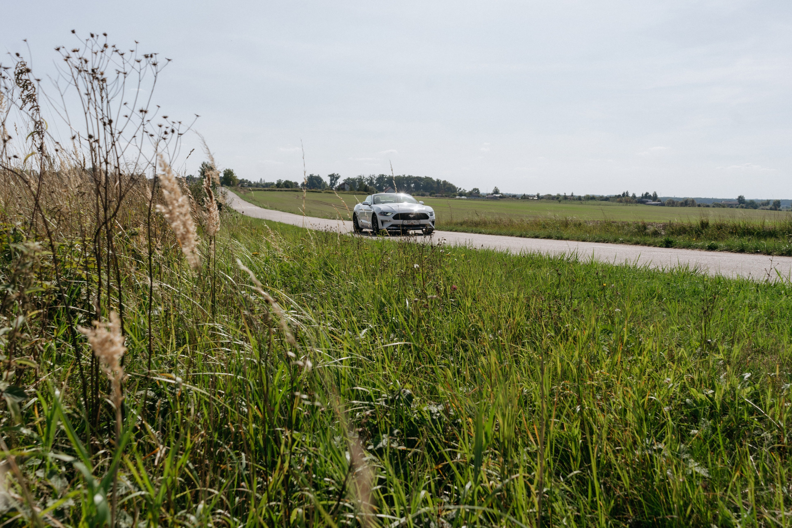 Александр и Ирина. Свадебный и семейный фотограф в Калининграде Анастасия Гриценко