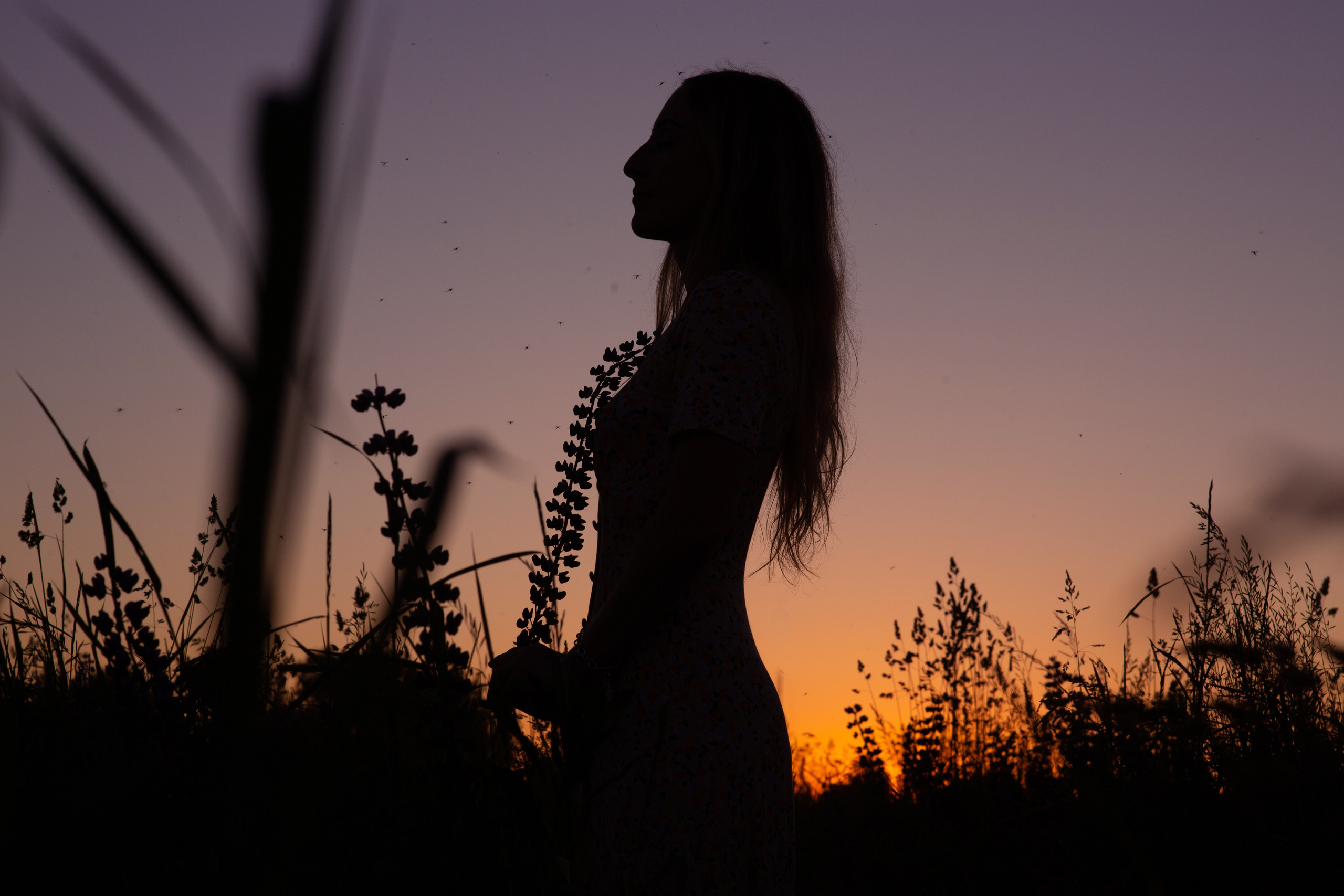 Солнечное лето. Семейный фотограф в Москве