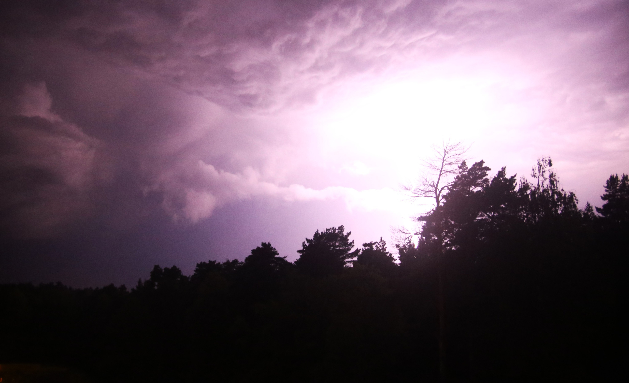 Всё, что я вижу вокруг себя