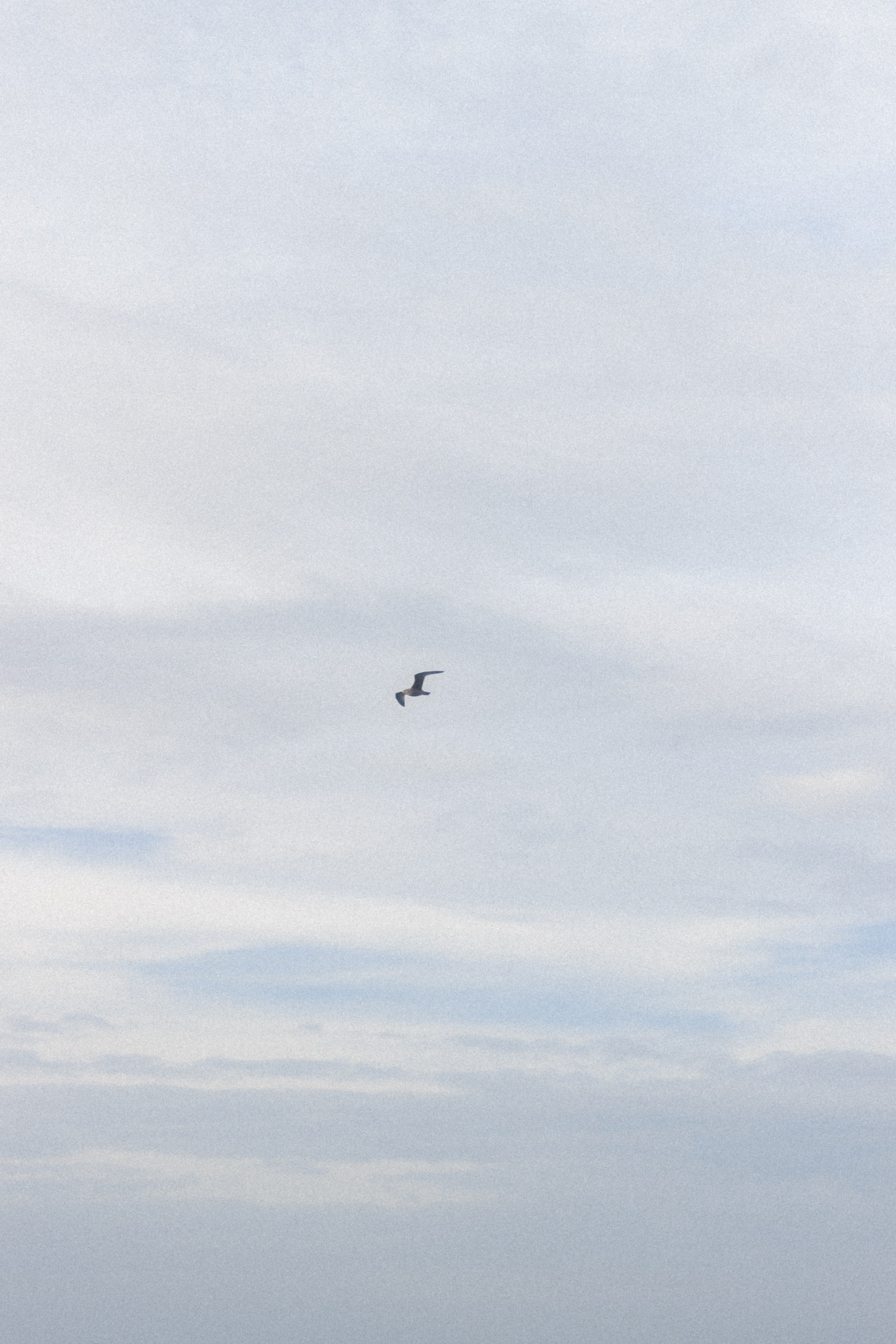 Фотосессия на Балтийском море. Портретный фотограф в Калининграде Рита Холодова