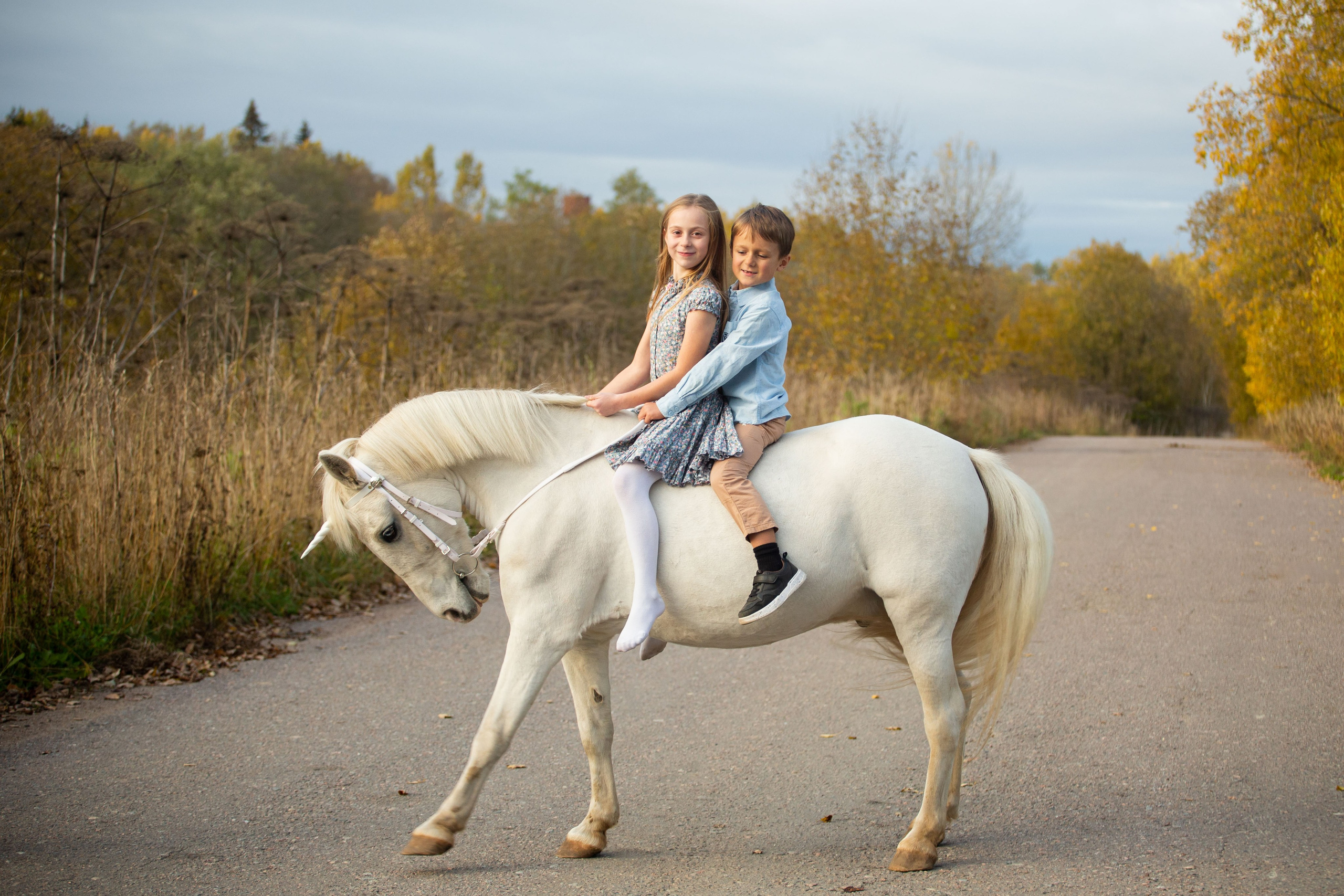 Конные фотосессии (съёмки с лошадьми). Главная
