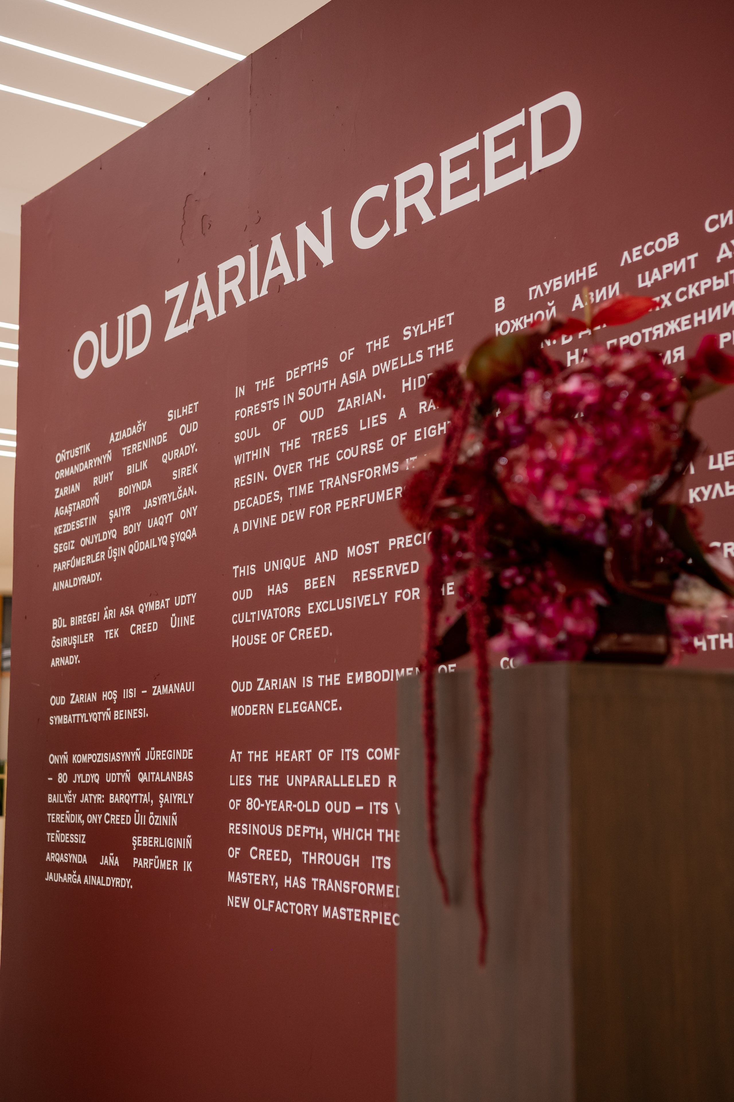 CREED. Фотограф Астана, Алматы