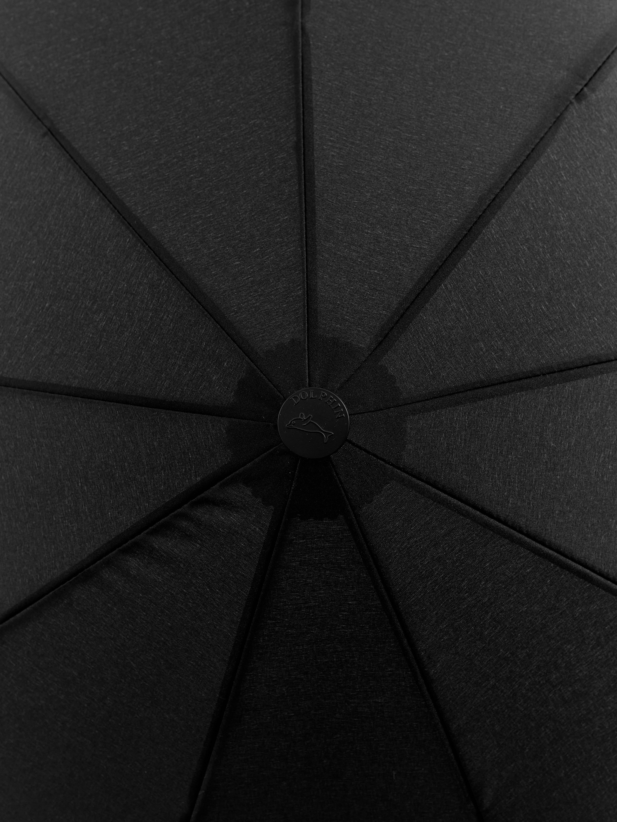 Dolphin. Zubkov Jan Hochzeitsfotograf Deutschland