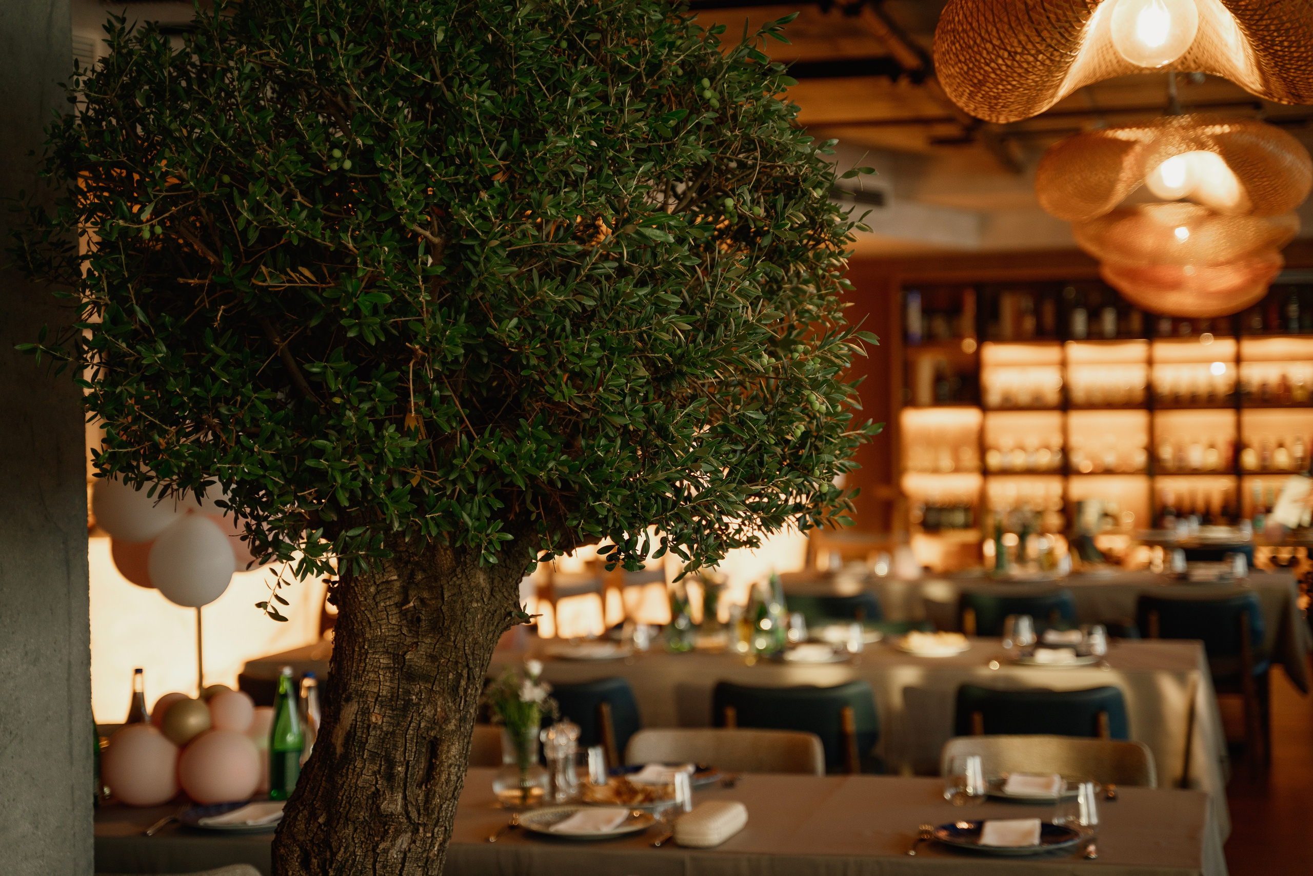 Professional Wedding Photographer in Budva – Timeless Memories. Photographer in Montenegro | Фотограф в Черногории