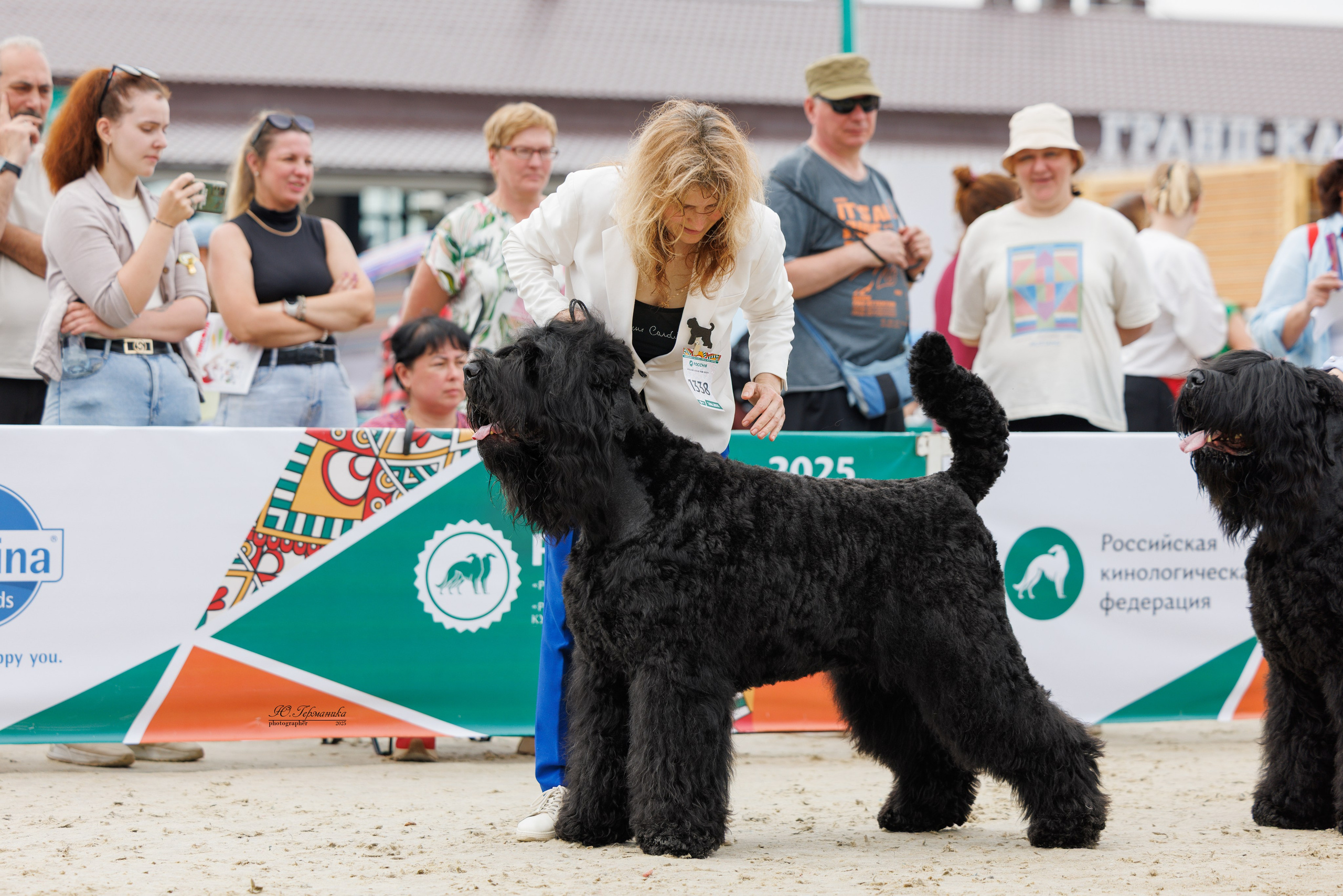 РОССИЯ 7-8.06.2025. Фотограф-анималист Юлия Германика