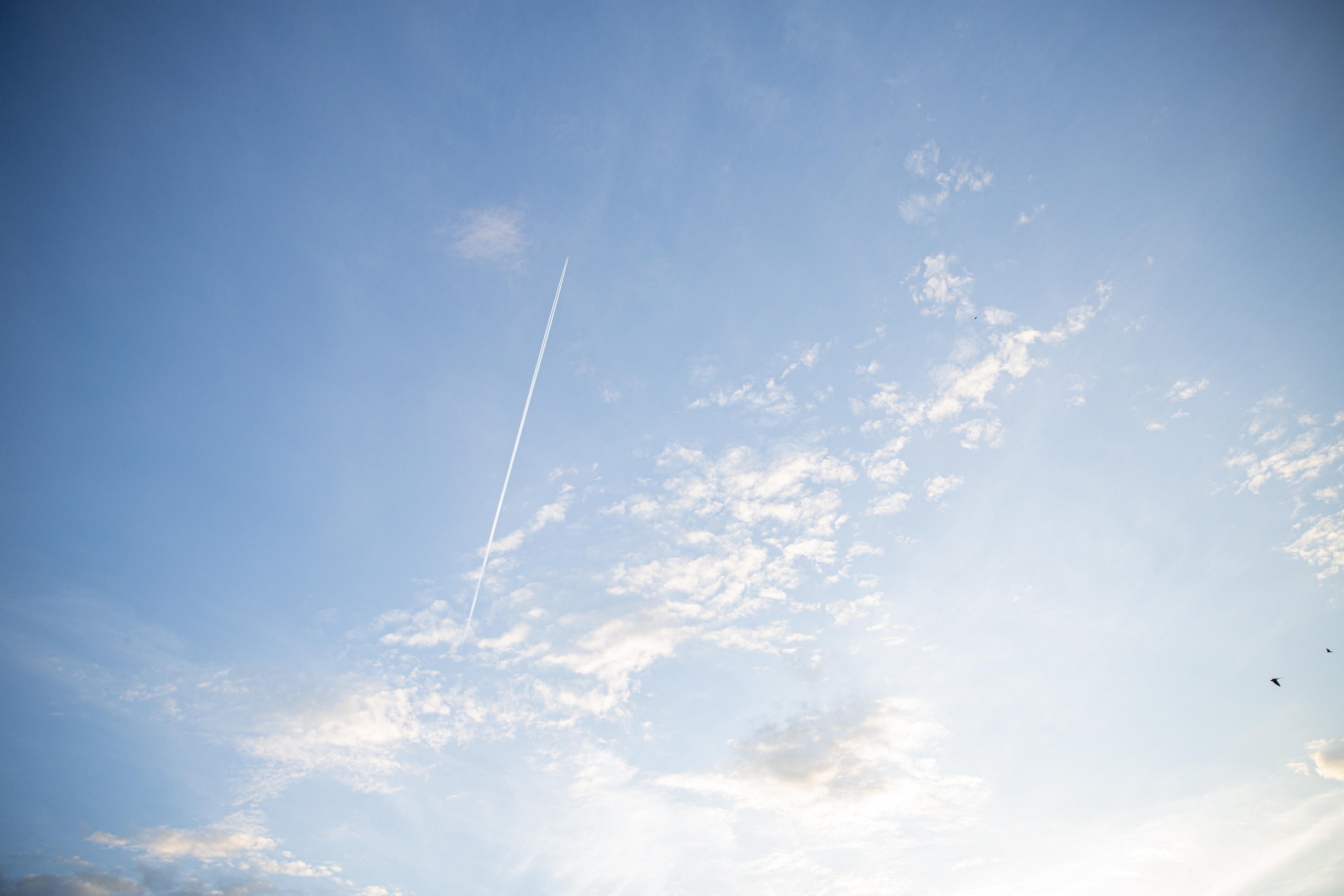 DUBLDOM. Свадебный и семейный фотограф