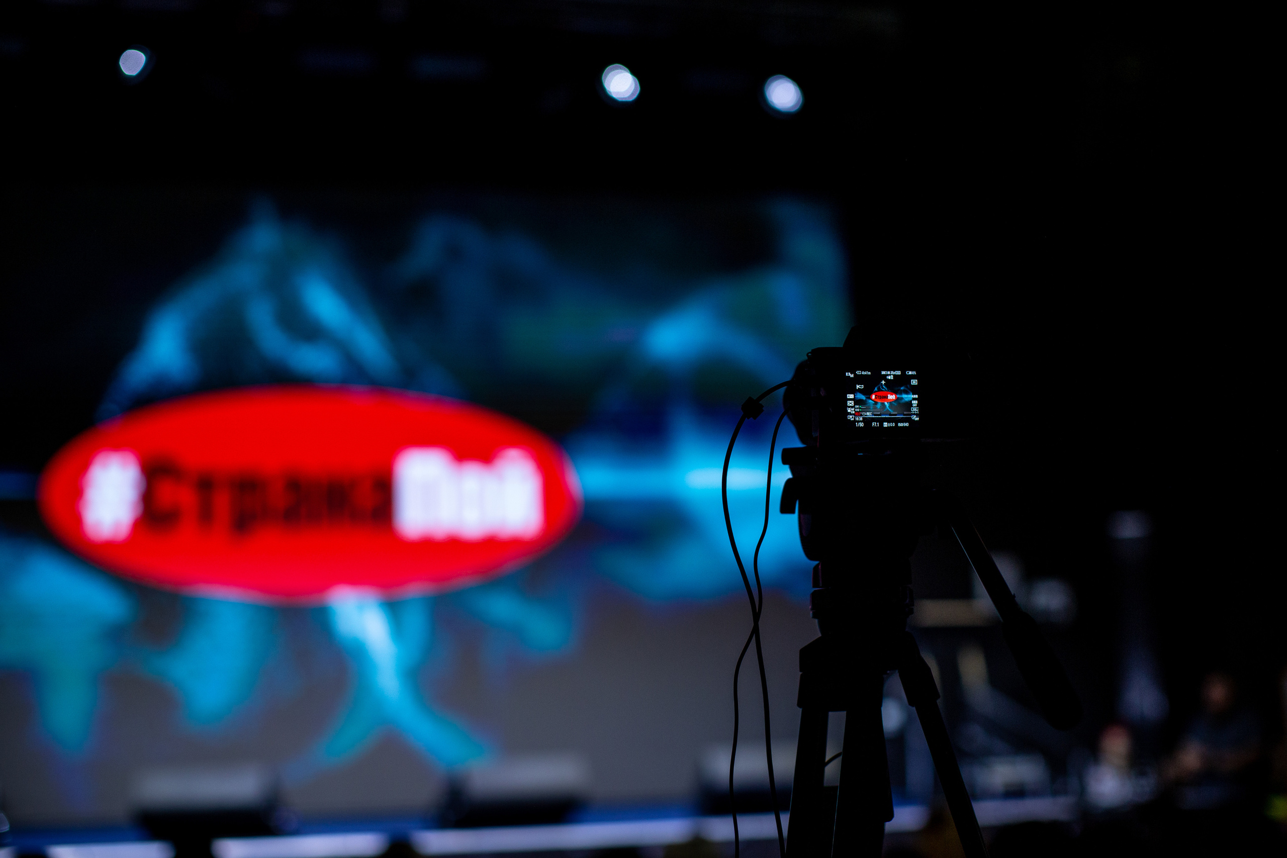 СтранаПой 2022. Свадебный и семейный фотограф