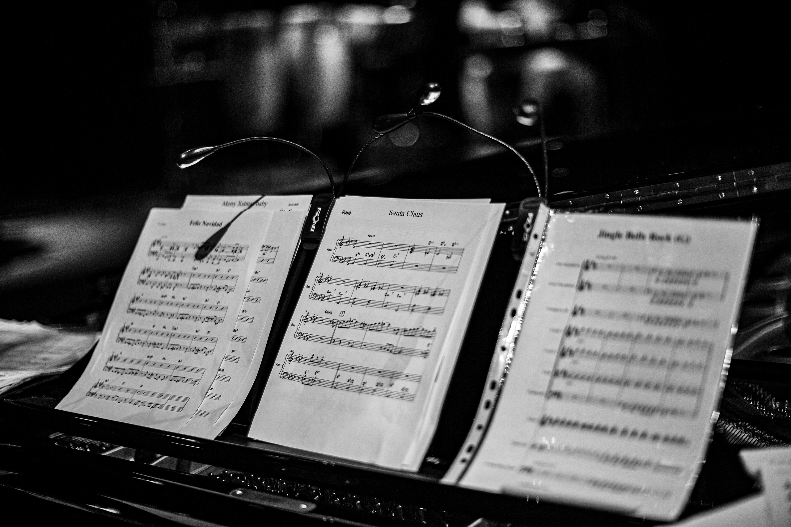 JAZZPORT, Концертный зал Зарядье. Свадебный и семейный фотограф