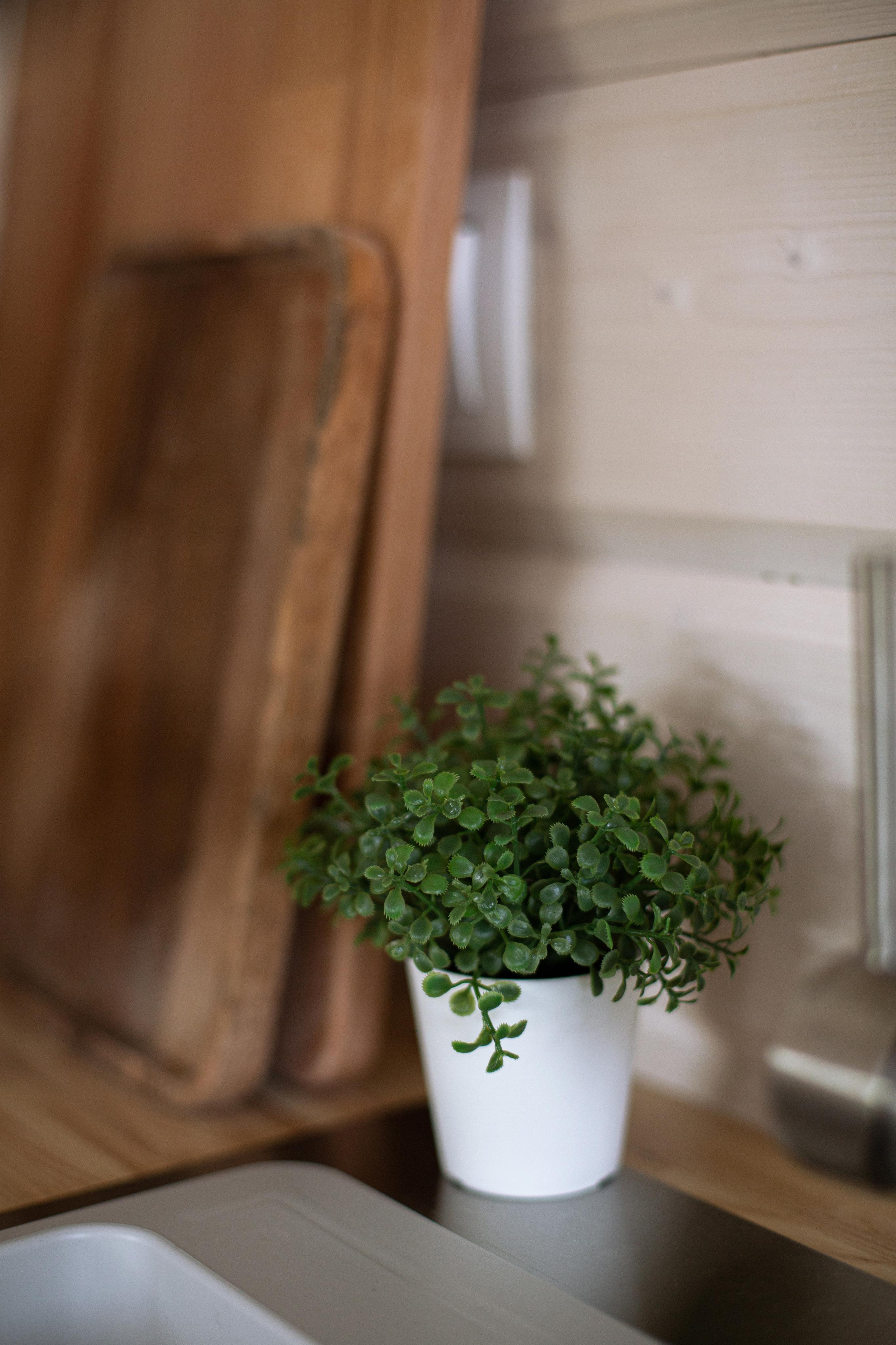 DUBLDOM. Свадебный и семейный фотограф