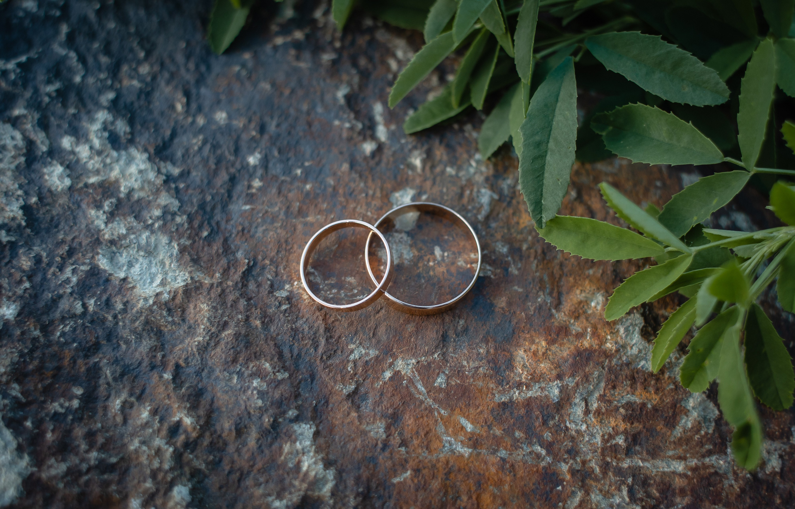 Павел и Екатерина. Фотограф Татьяна Орлова