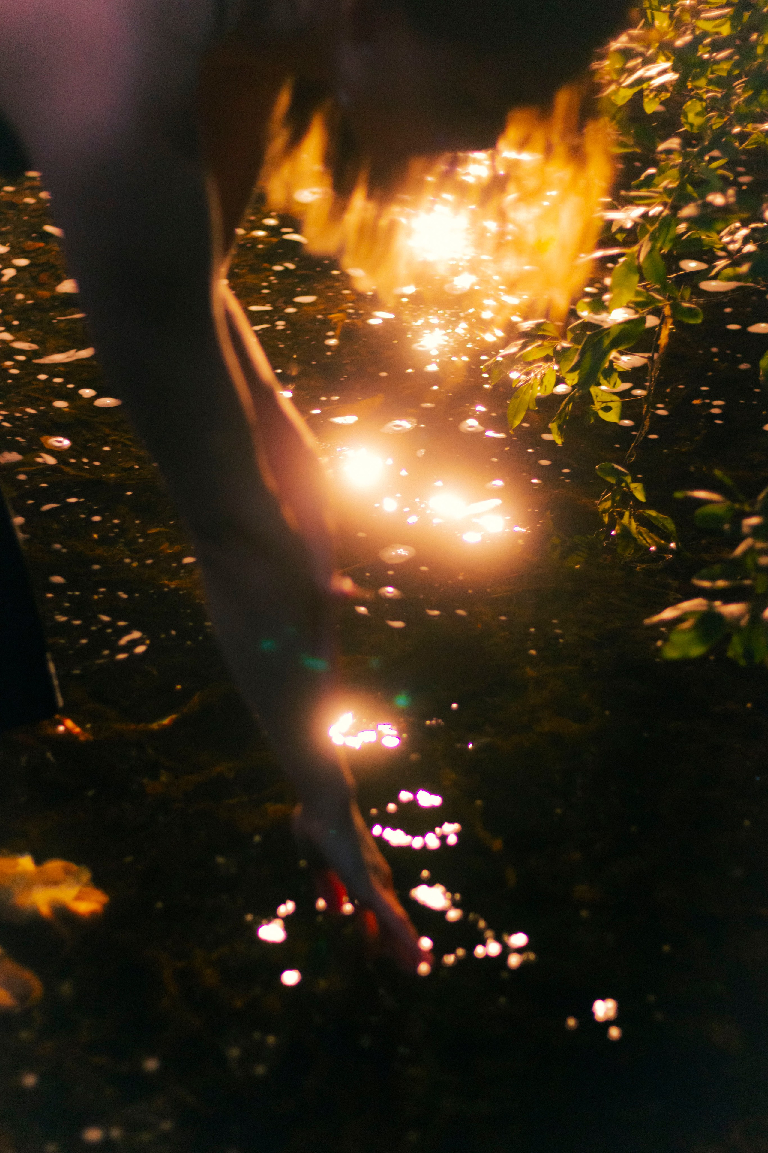 Vika. Фотограф Димитровград Казань Валерия Владимиркина