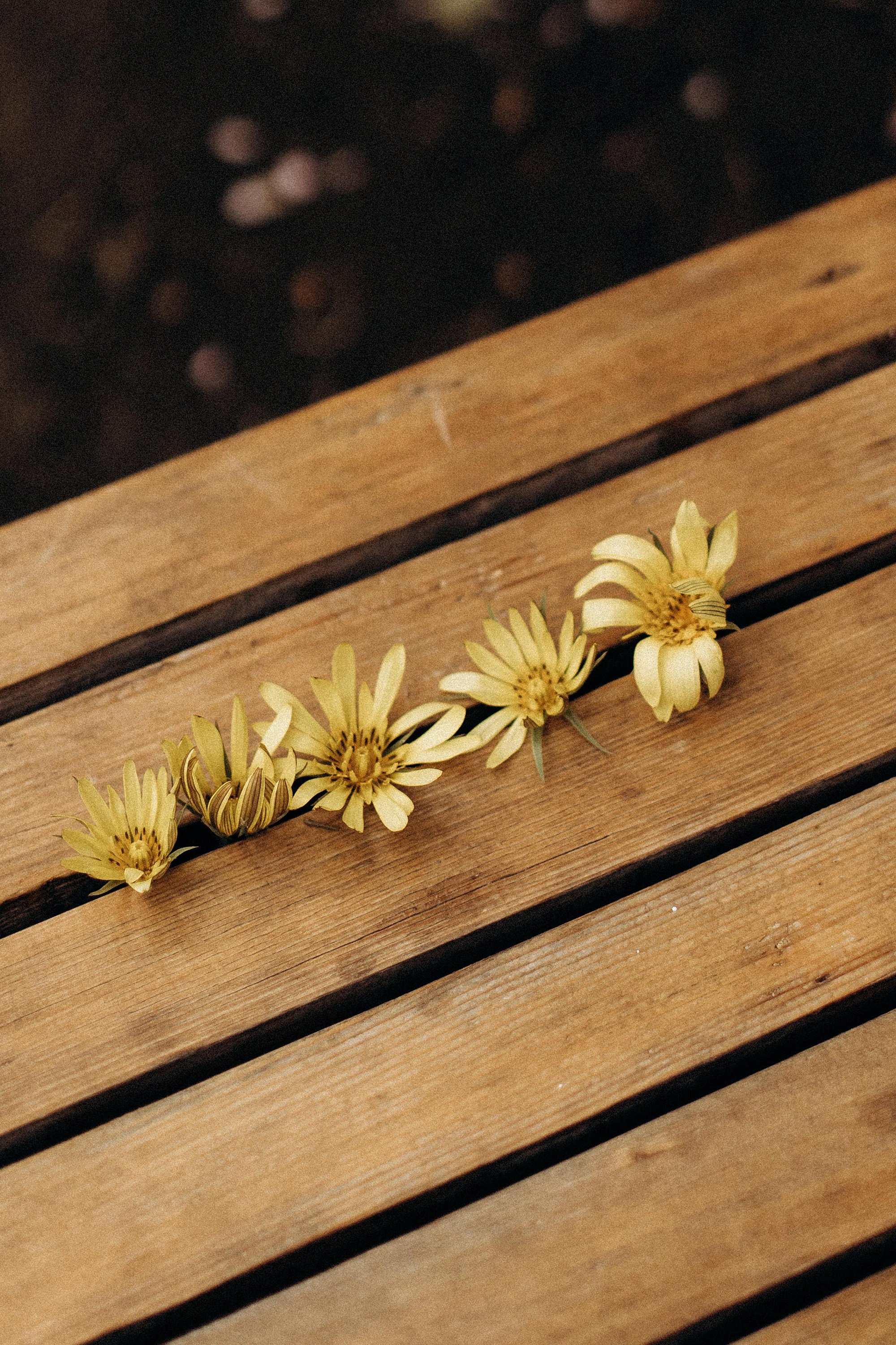 Анастасия, Анюта и Петя. Фотограф Тбилиси Саша Мороз