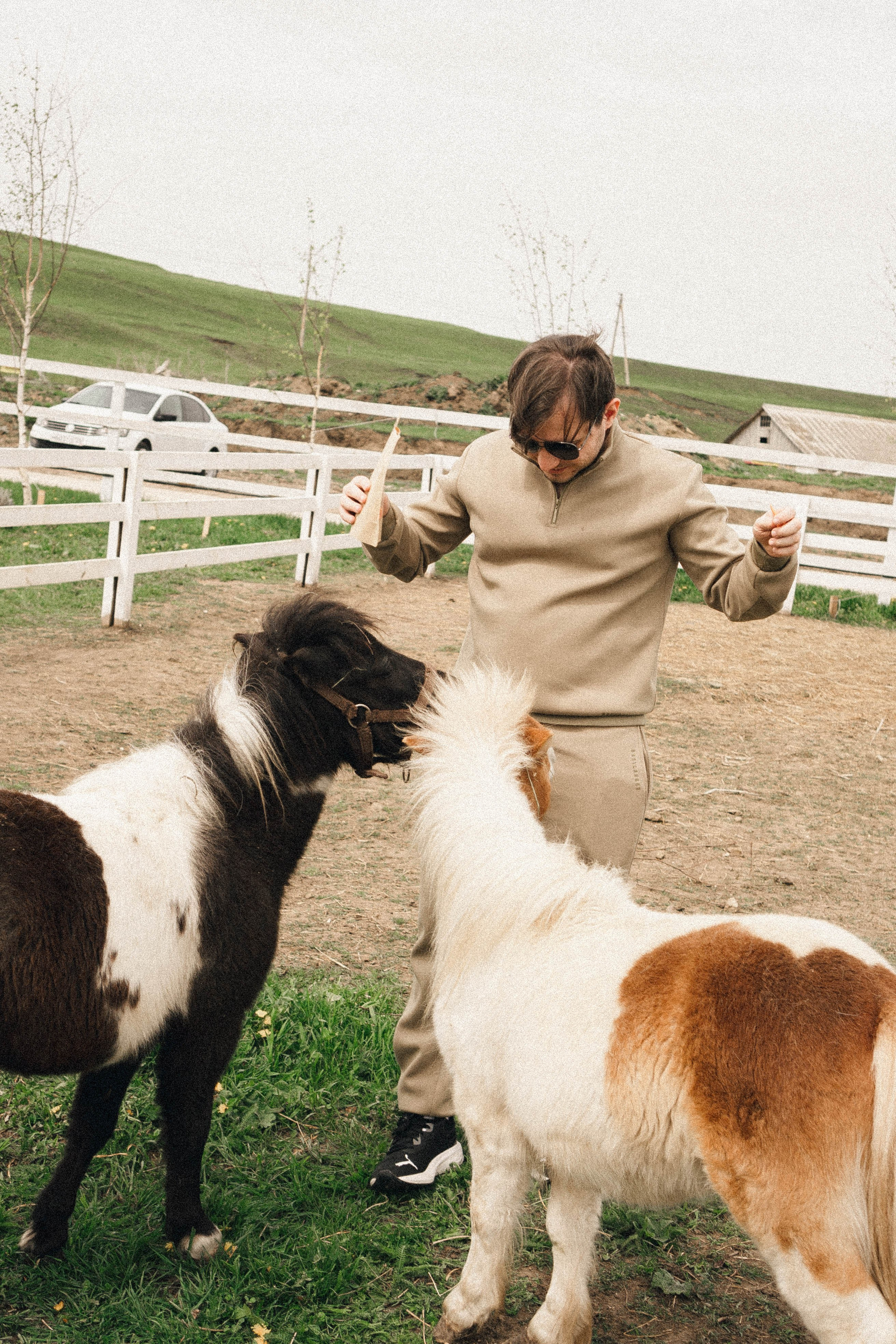Ферма Альпак. Профессиональный фотограф, Санкт-Петербург — Виктория Богомолова