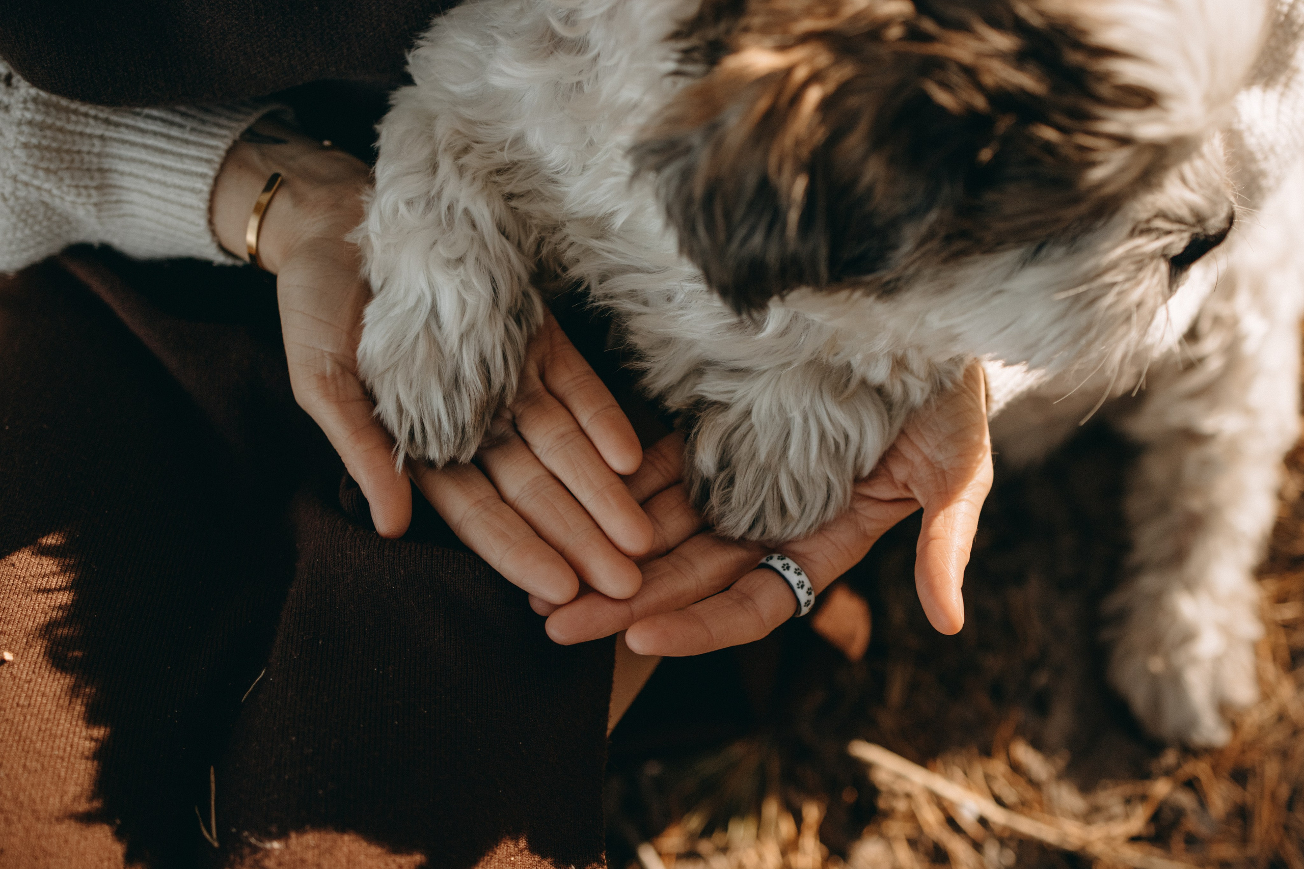 Настя и Франт. Фотограф — Анималист | Санкт-Петербург