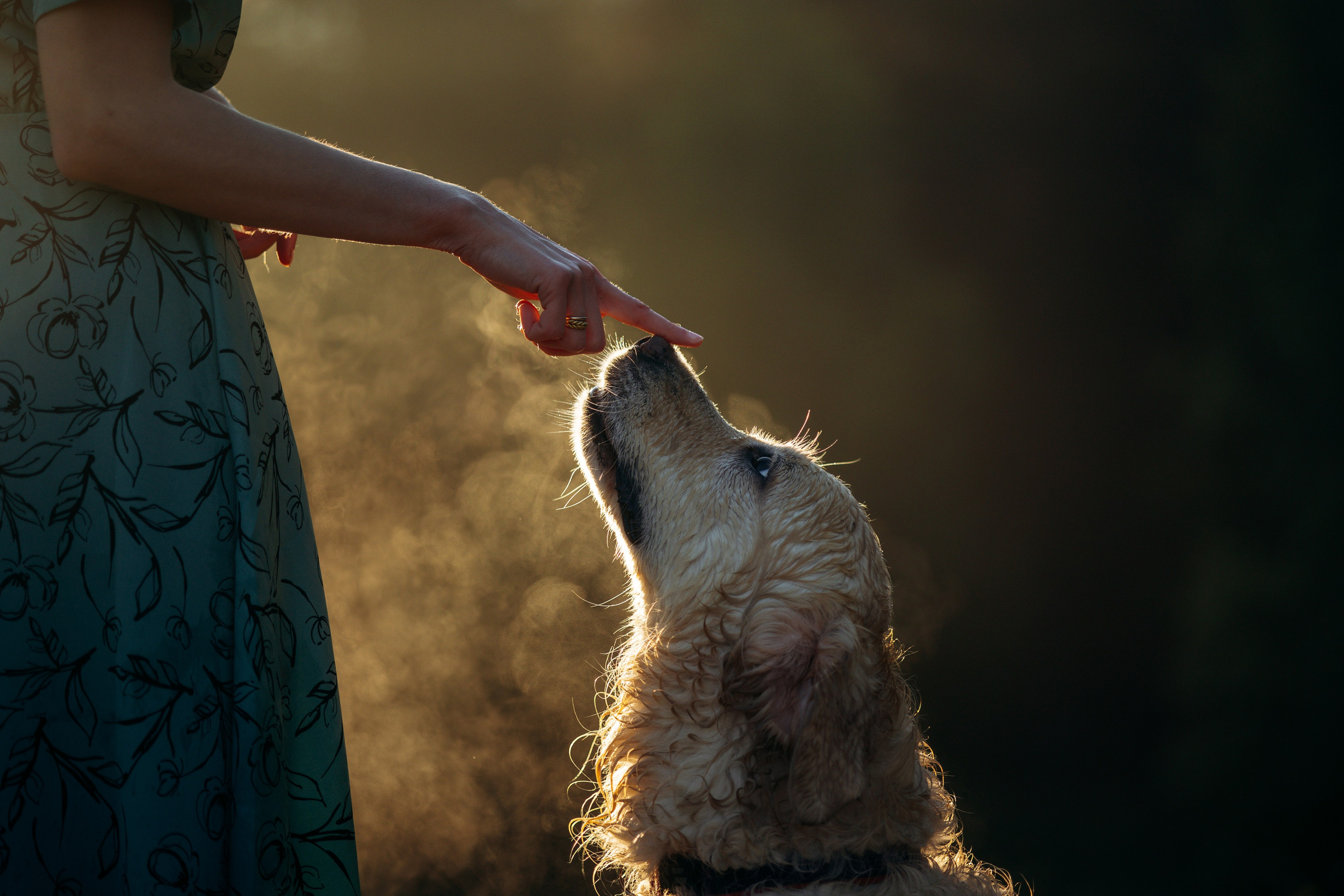 Юля и Руби. Фотограф — Анималист | Санкт-Петербург