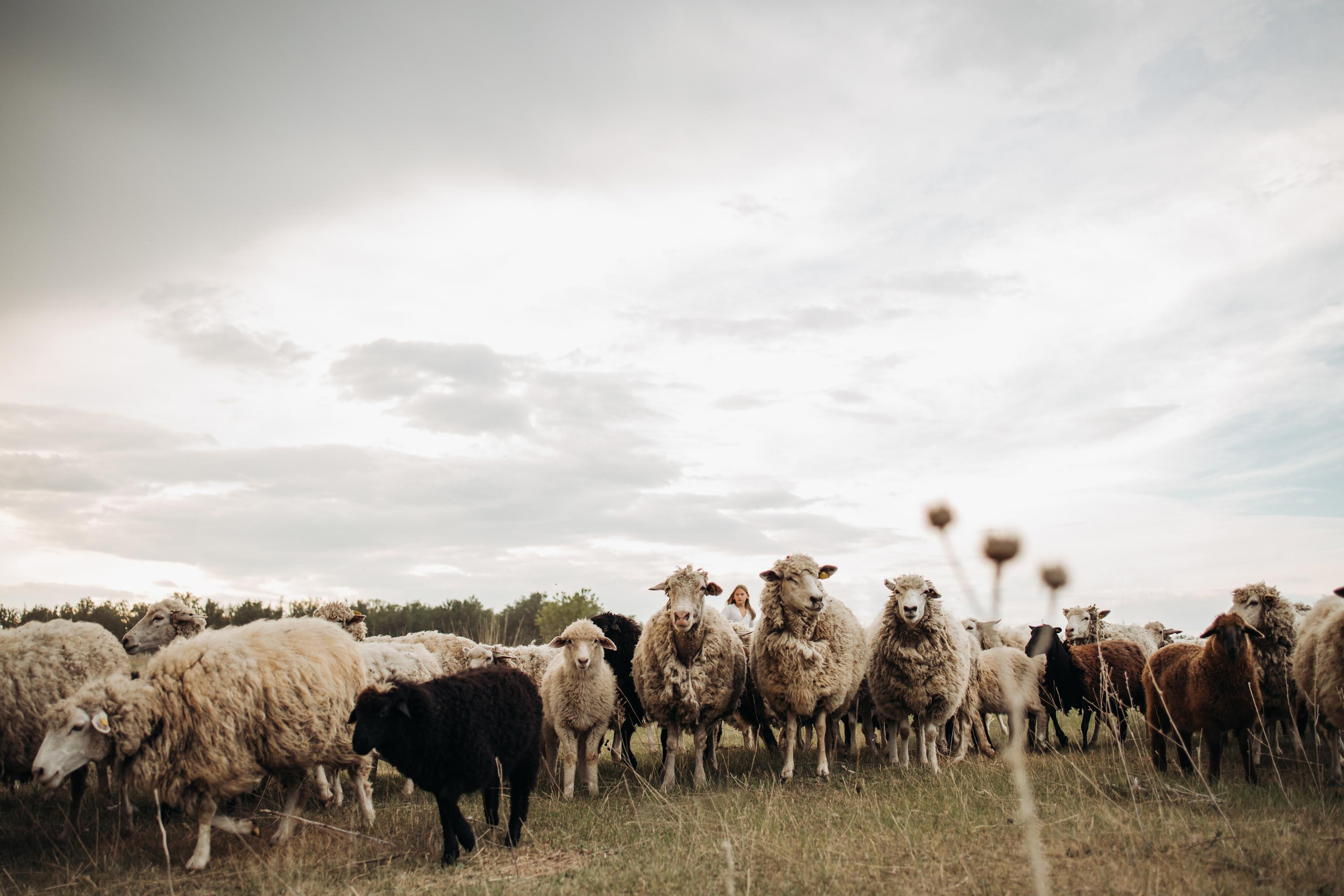 Лена Маша Саша. Семейный и свадебный фотограф Viva Photo